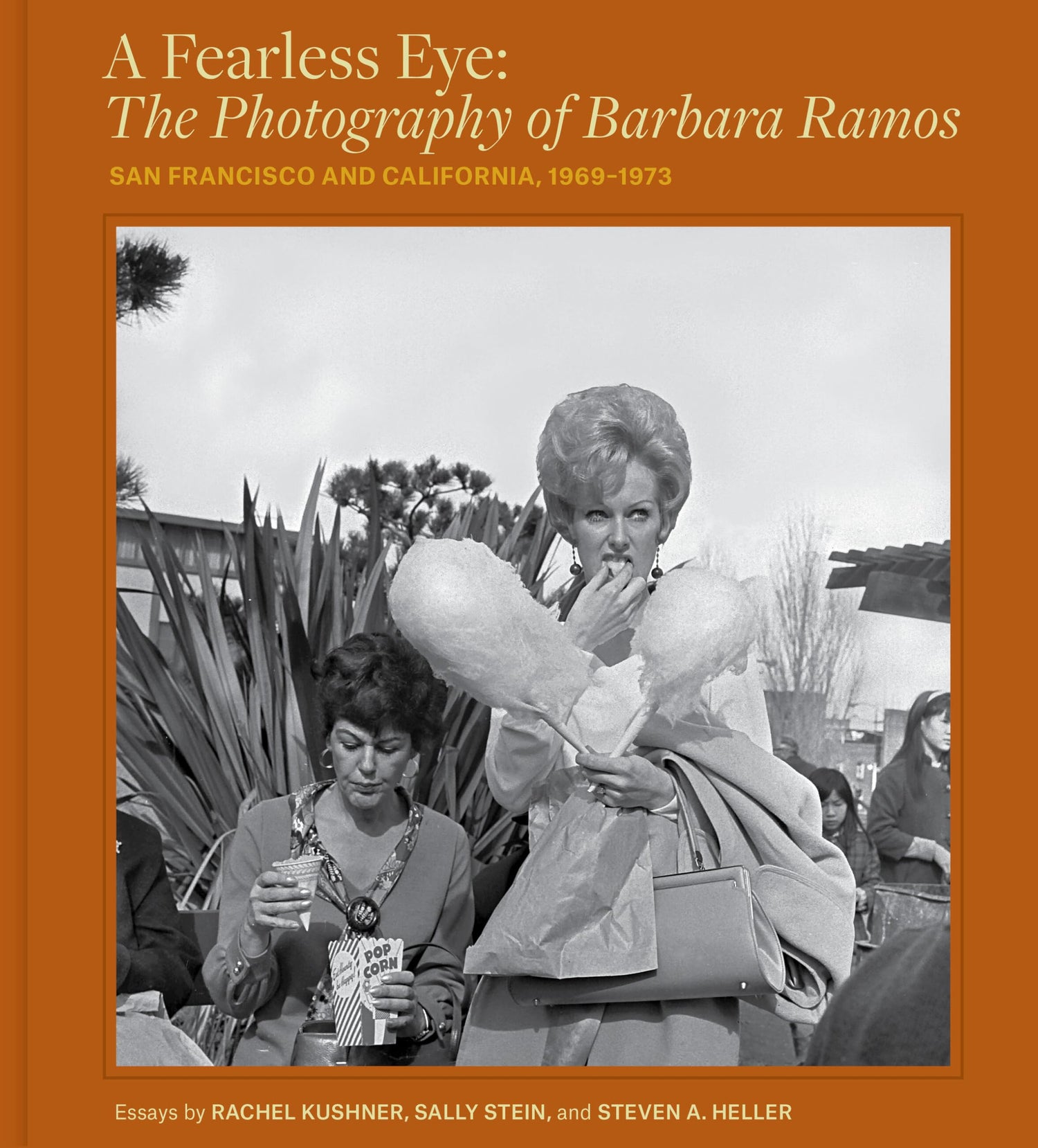 A Fearless Eye book cover