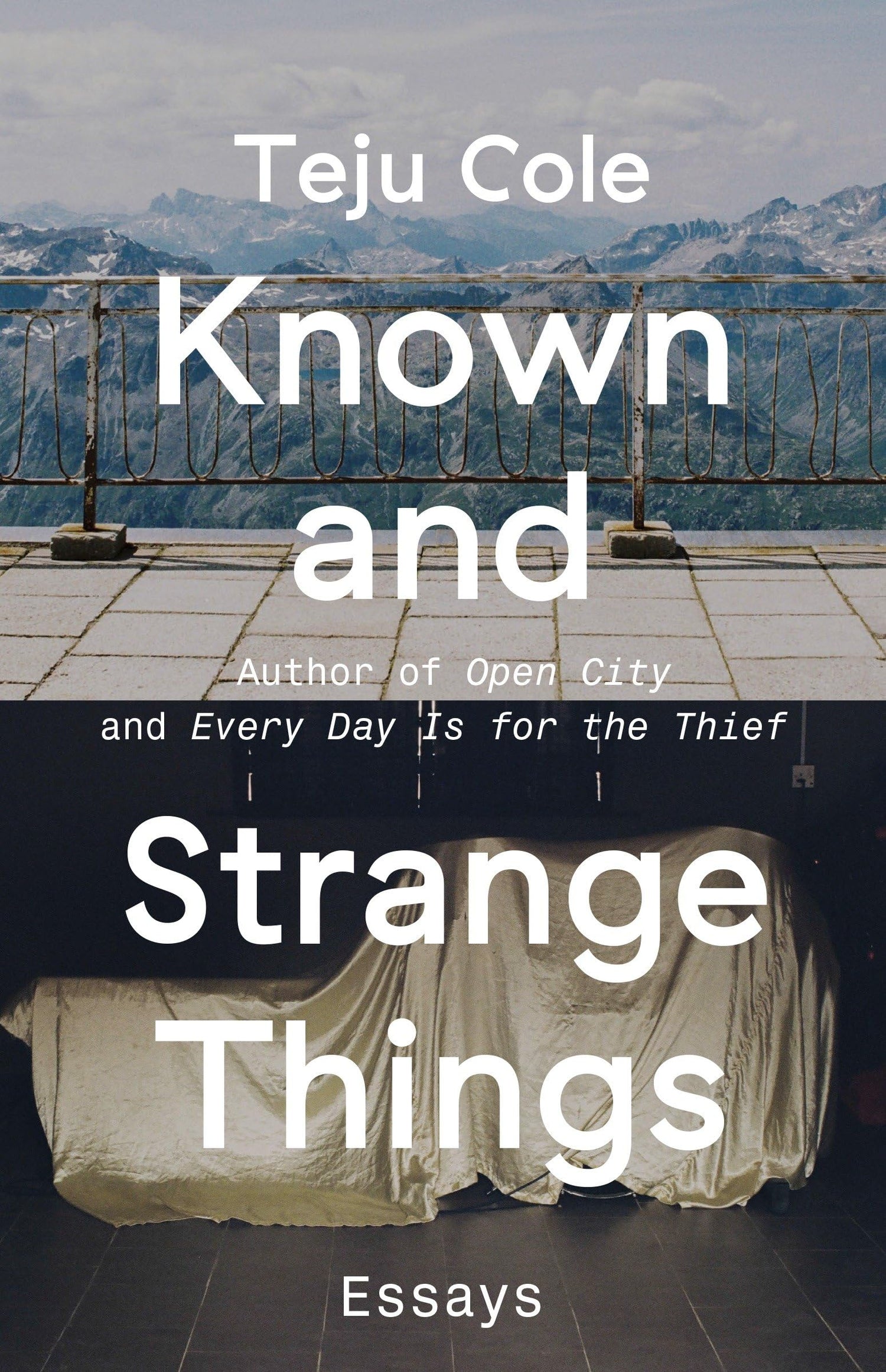 Known and Strange Things: Essays book cover