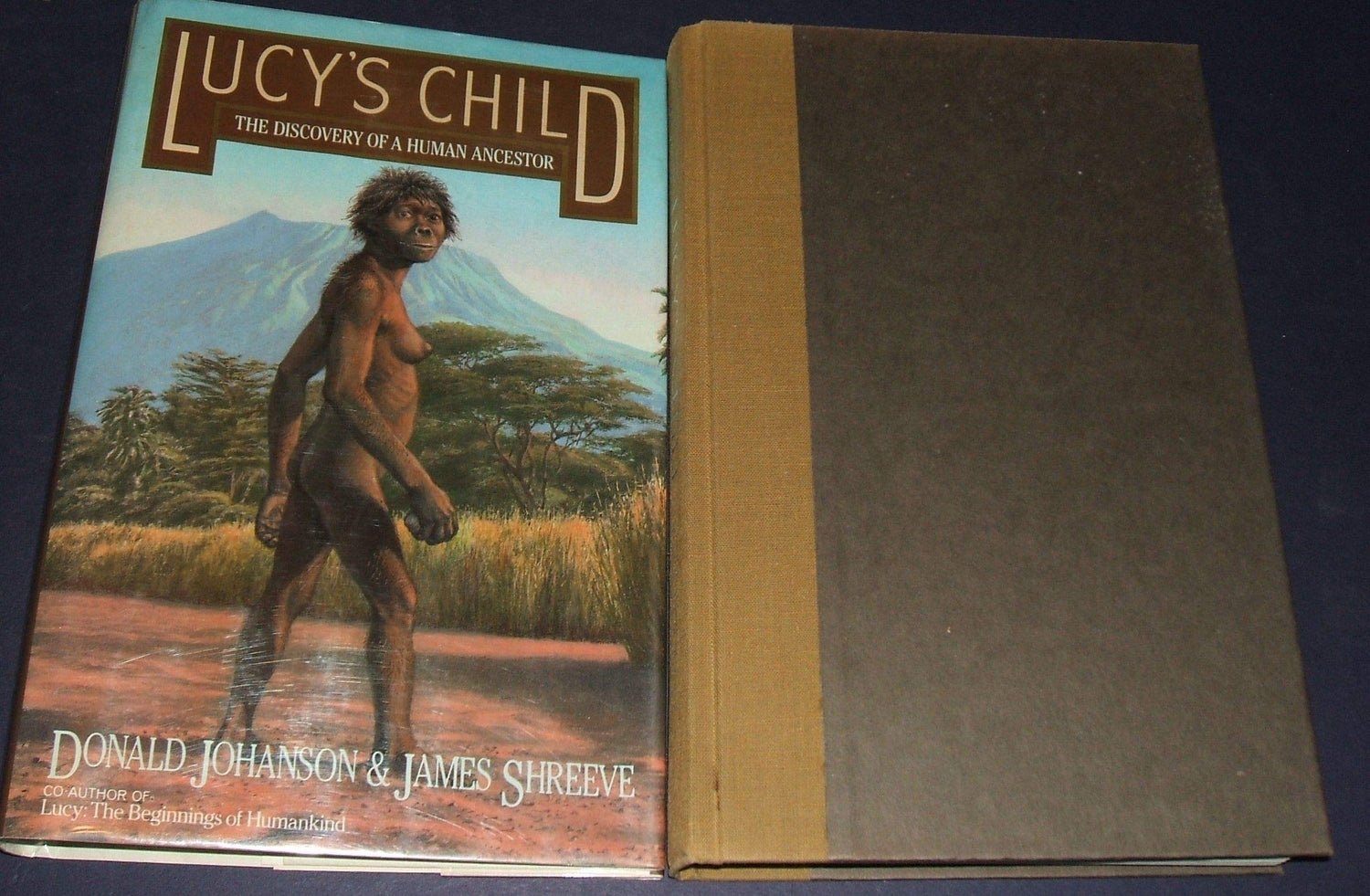 Lucy's Child: The Discovery of a Human Ancestor book cover