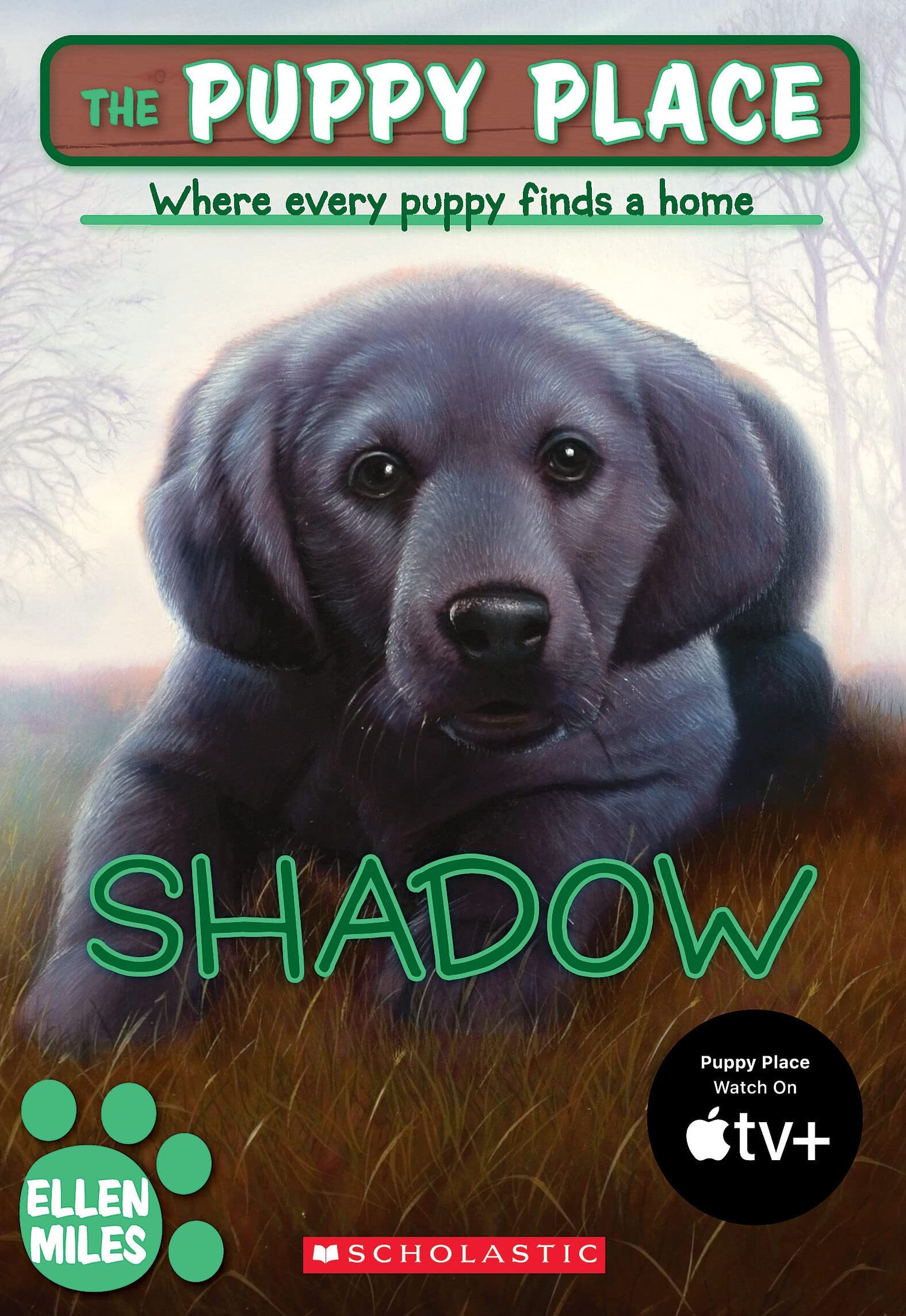 Puppy Place #3: Shadow, 3 book cover