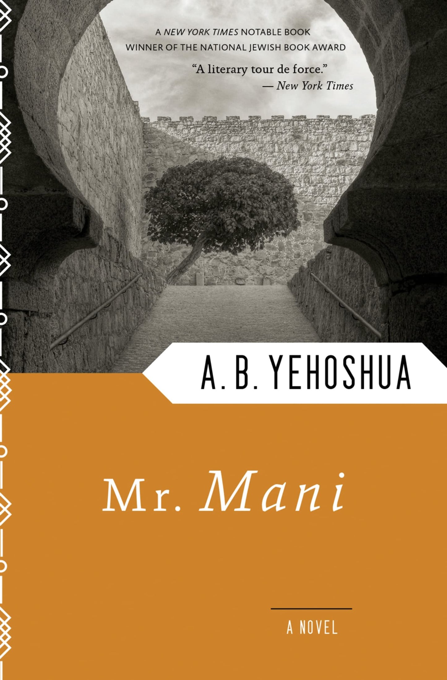 Mr. Mani book cover