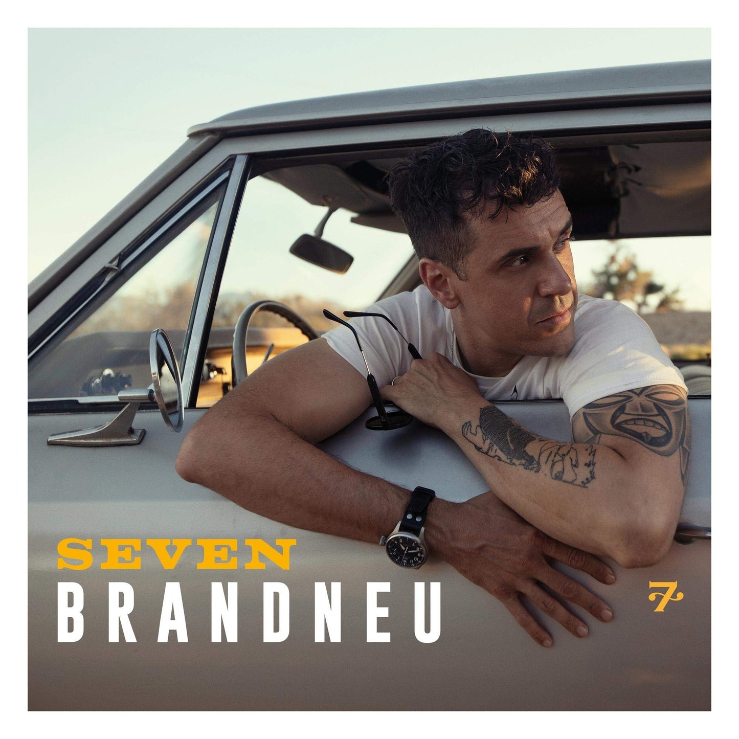 Brandneu book cover
