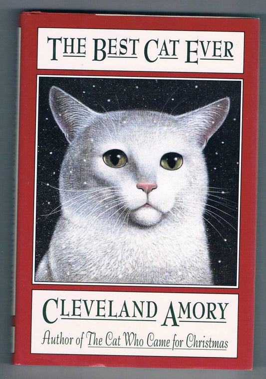 The Best Cat Ever