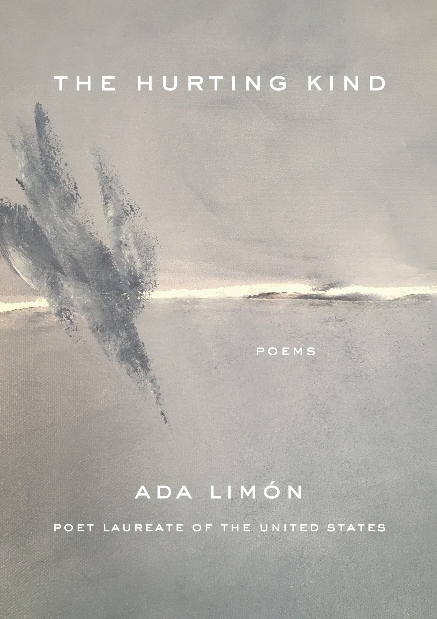 The Hurting Kind book cover