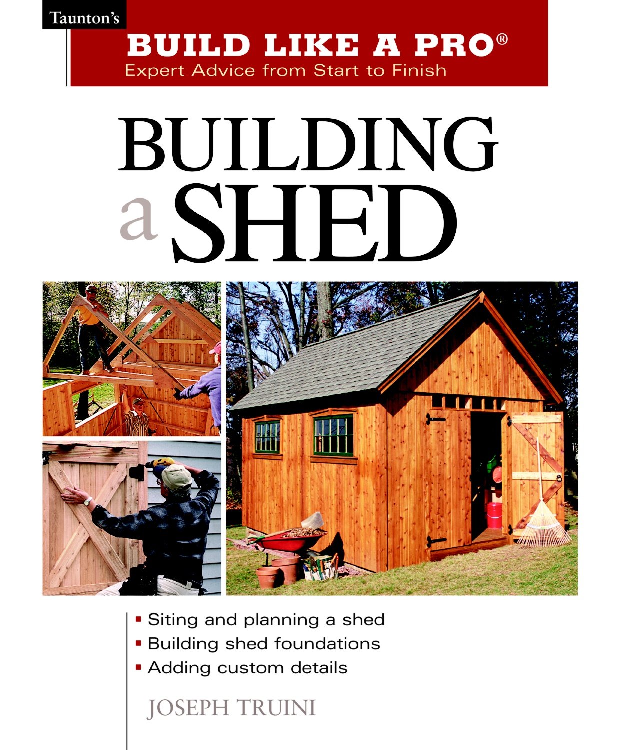 Building a Shed book cover