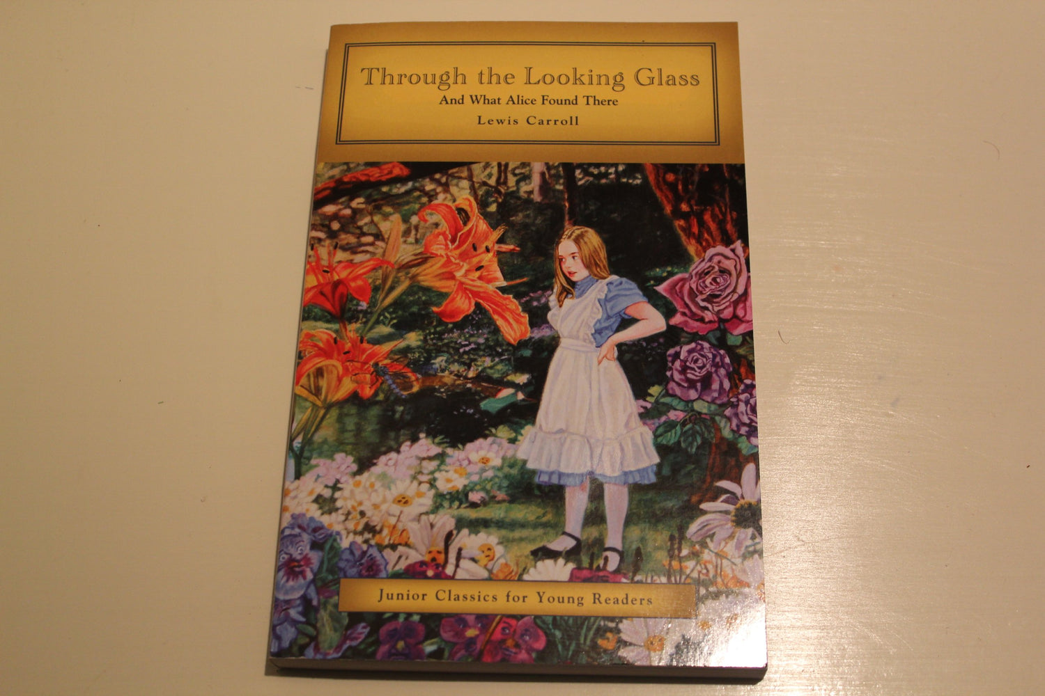 Through the Looking Glass (Junior Classics for Young Readers) book cover