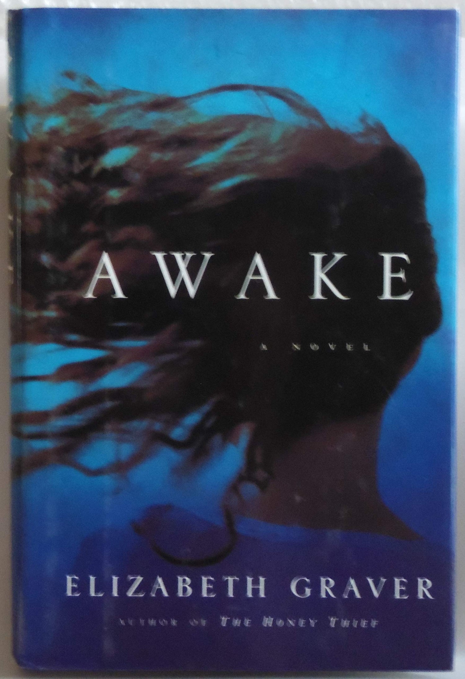 Awake book cover
