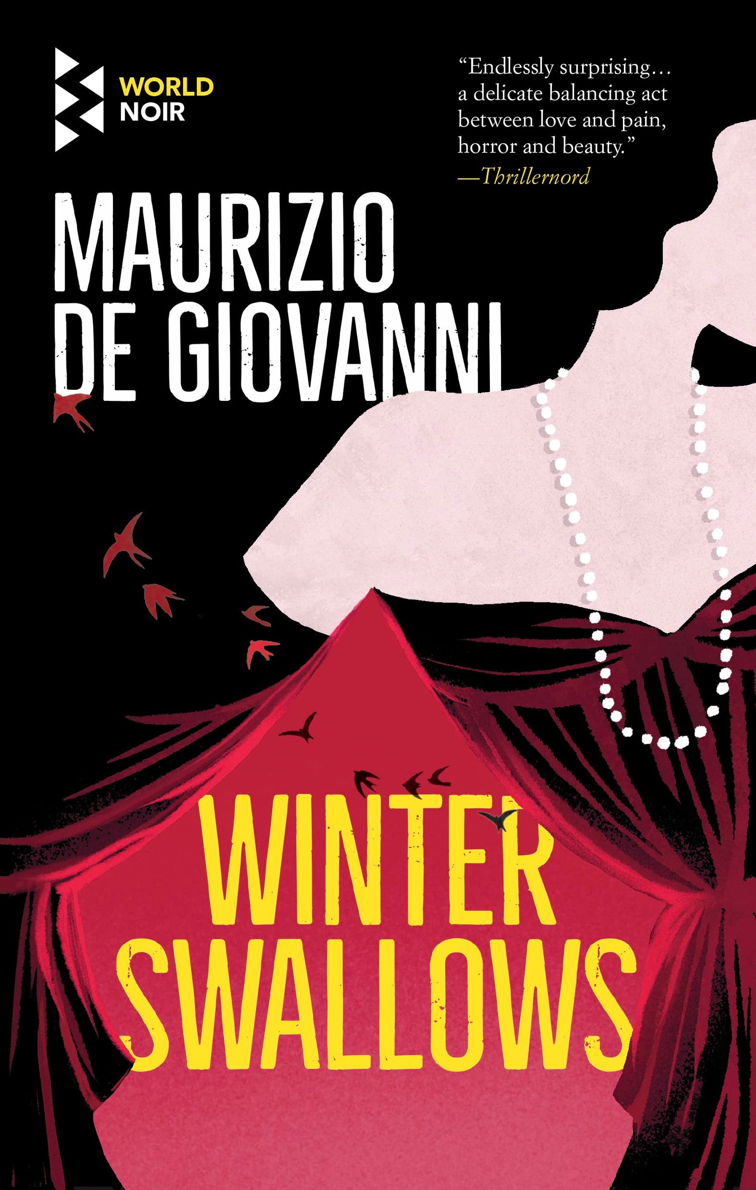 Winter Swallows book cover