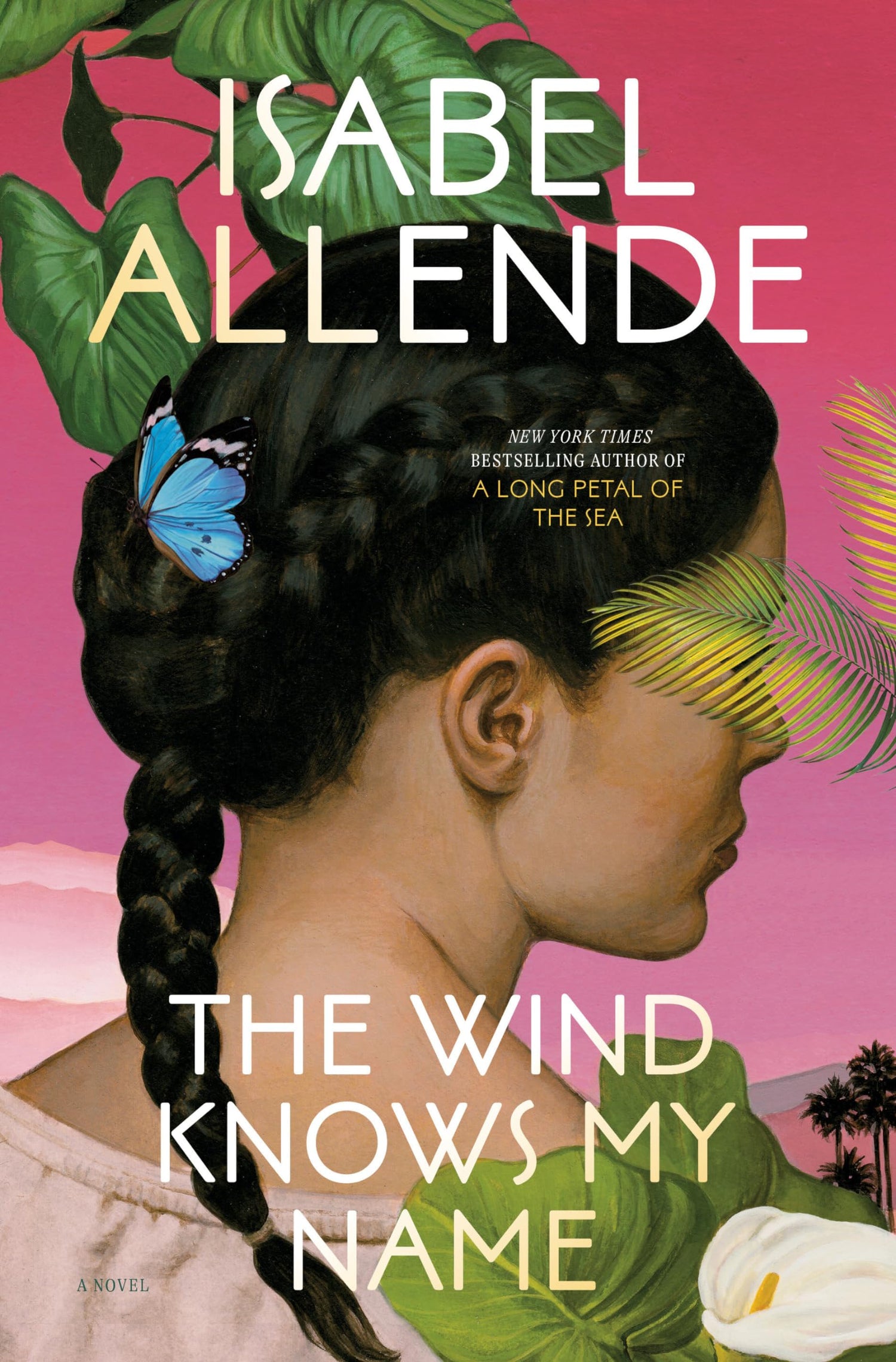 Wind Knows My Name book cover