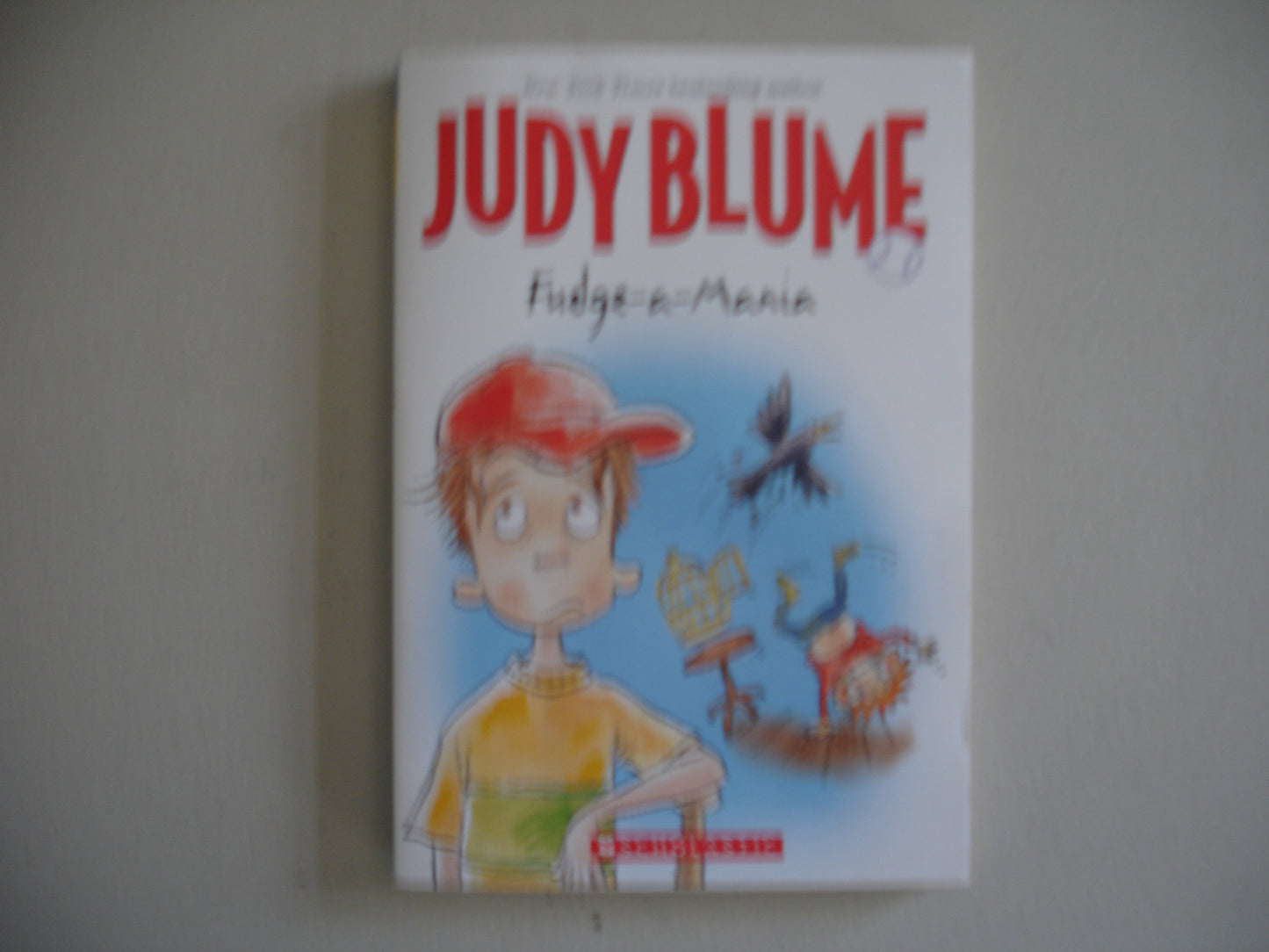 Fudge-a-Mania book cover