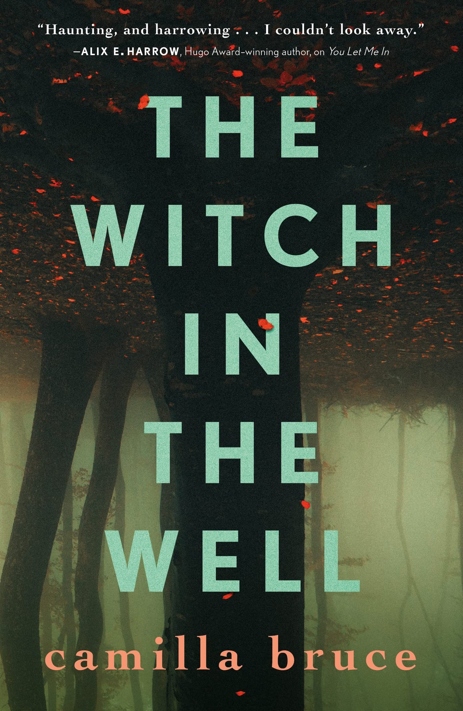 Witch in the Well book cover