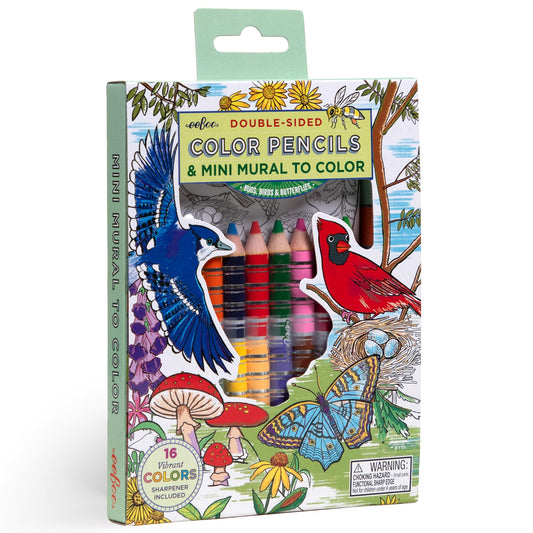 Bugs, Birds & Butterflies Double-Sided Color Pencils & Mini Mural