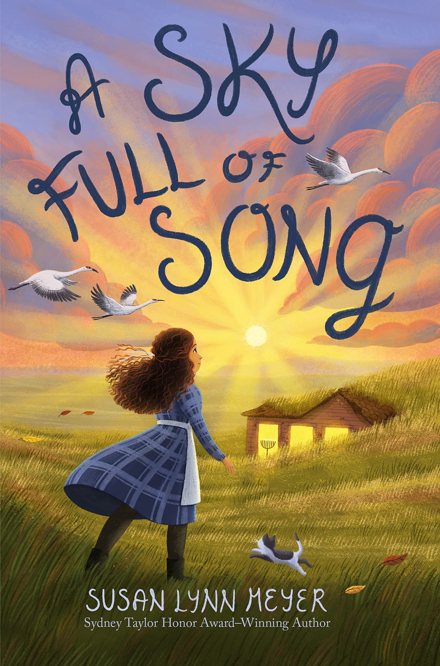 Sky Full of Song book cover