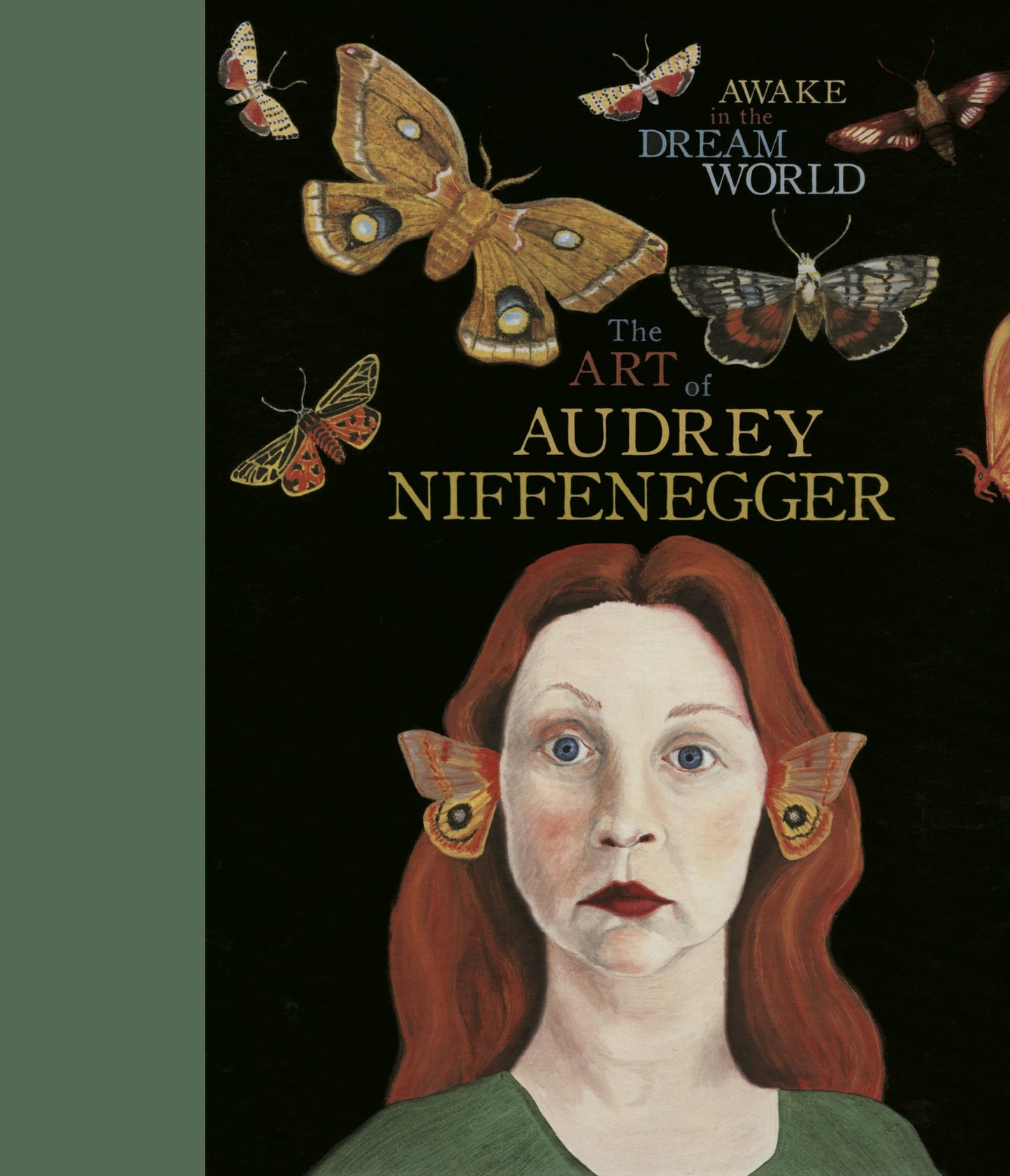 Awake in the Dream World: The Art of Audrey Niffenegger book cover