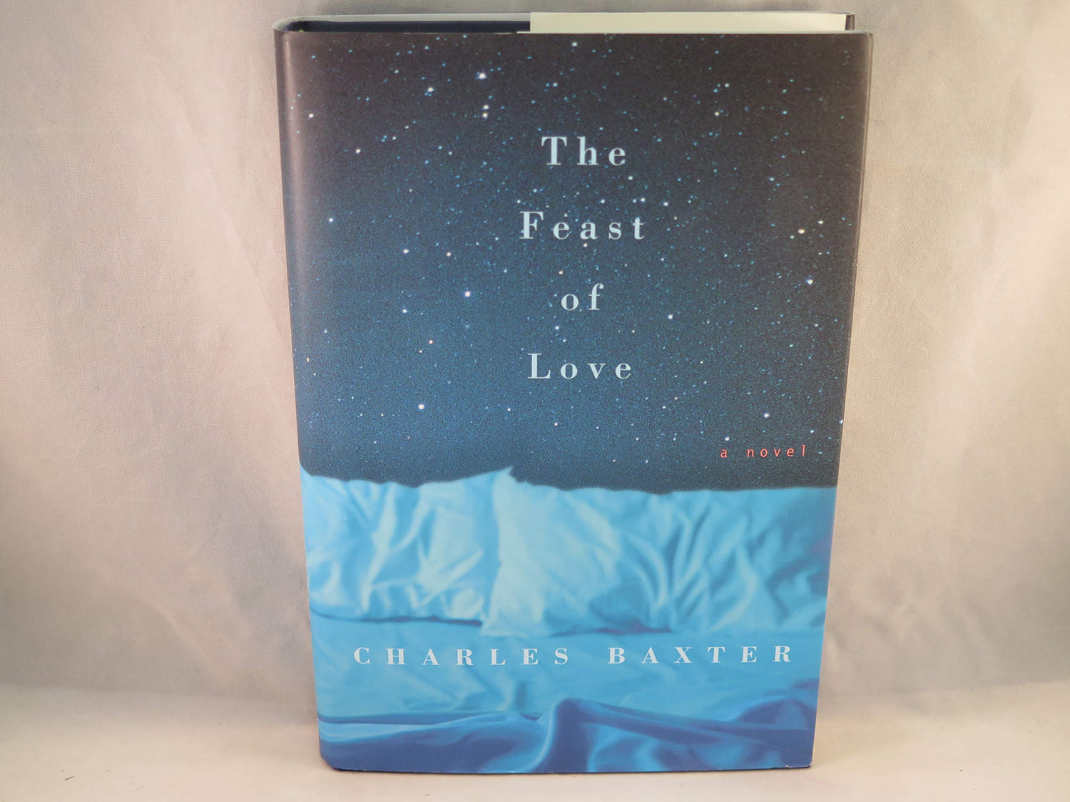 Feast of Love book cover
