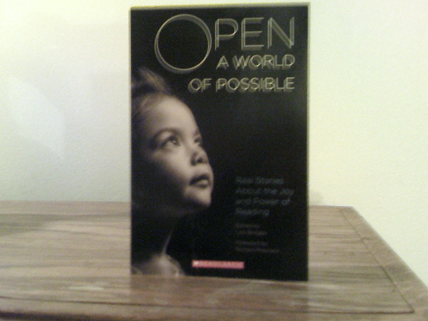 Open a World of Possible book cover