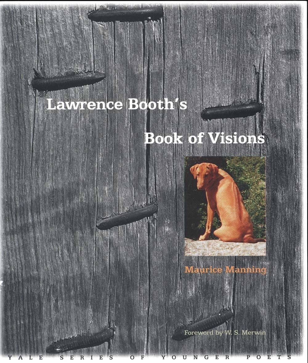 Lawrence Booth's Book of Visions book cover