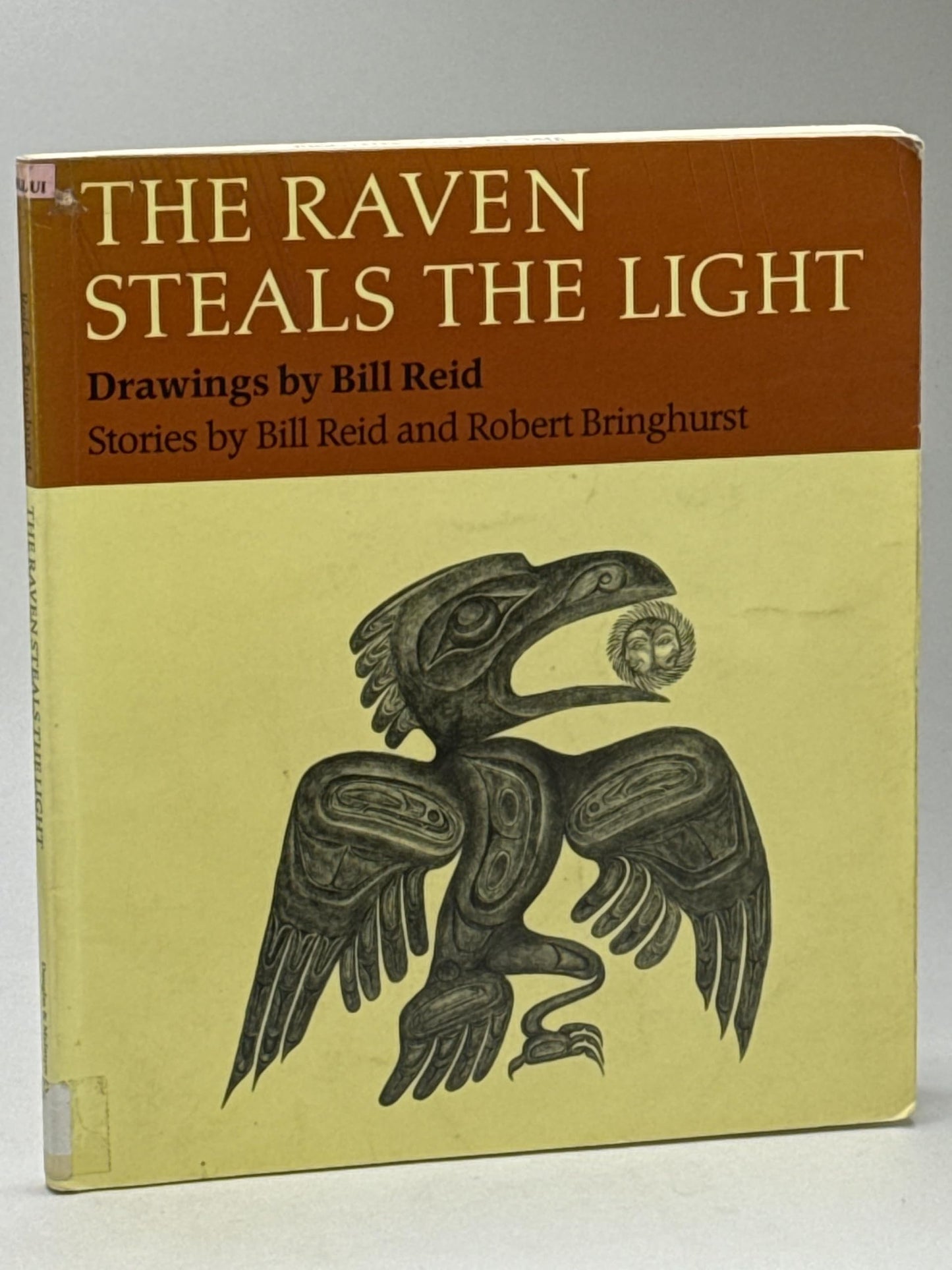 Raven Steals the Light (1988) book cover