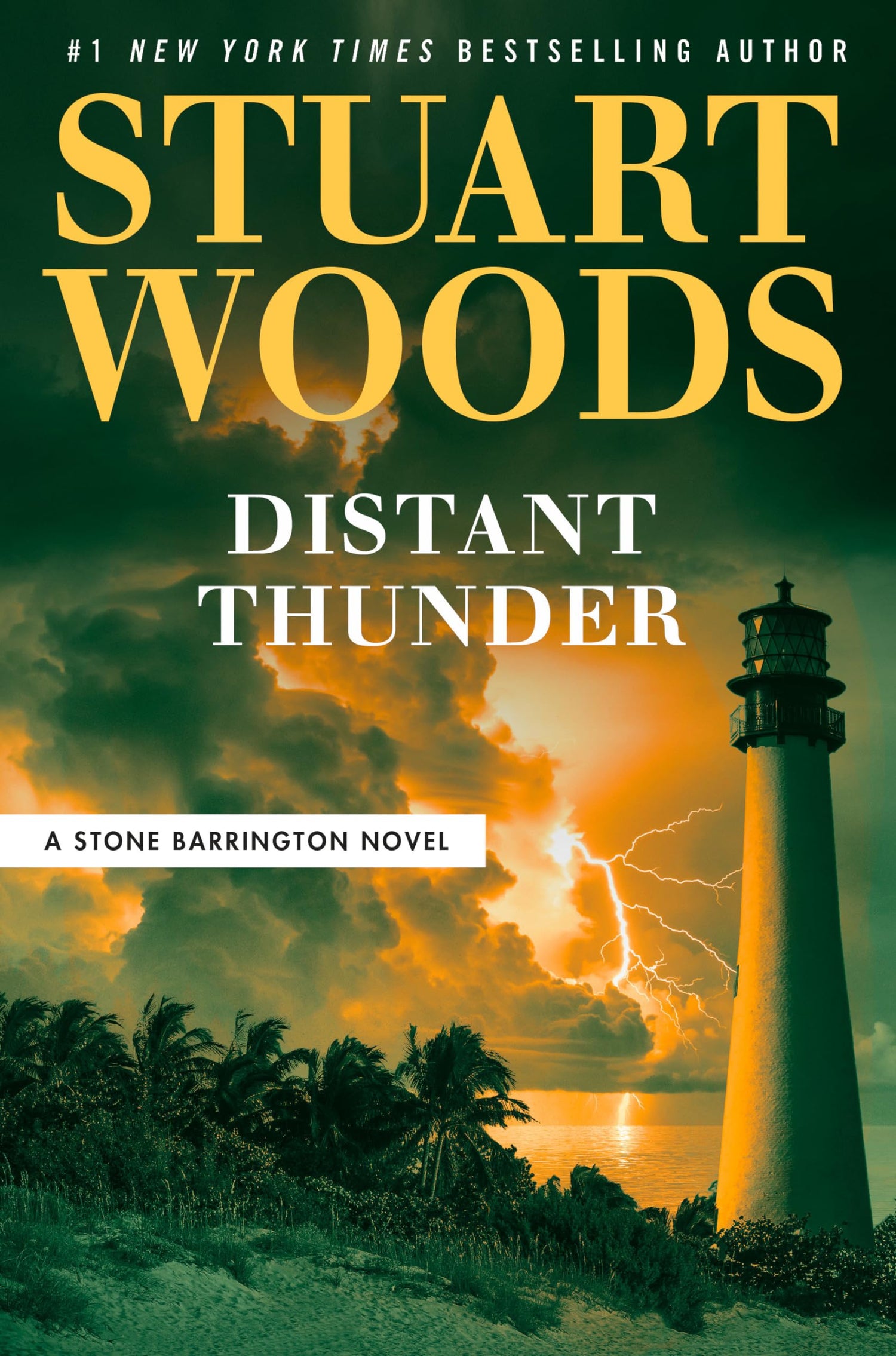 Distant Thunder book cover