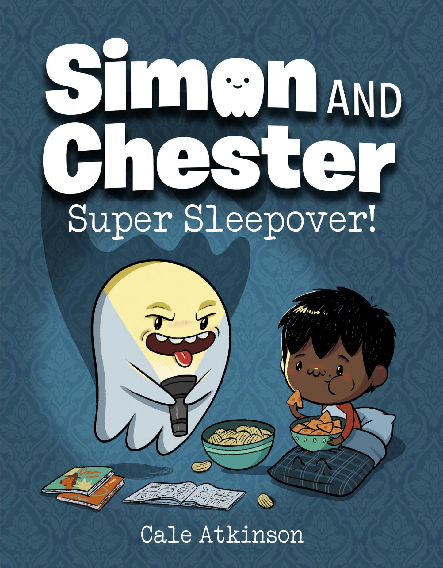 Super Sleepover! book cover