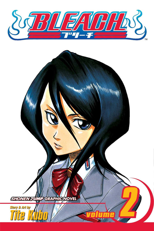 Bleach Volume 2 book cover