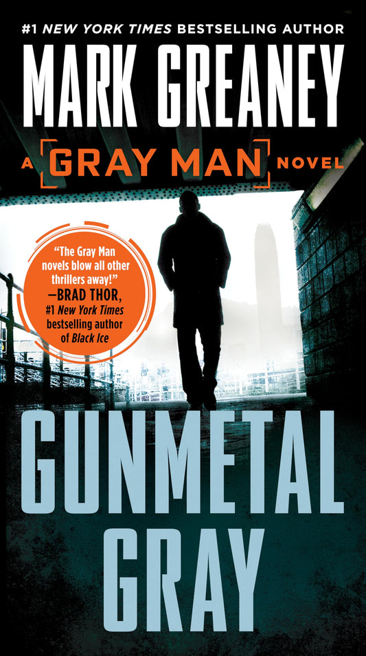 Gunmetal Gray book cover