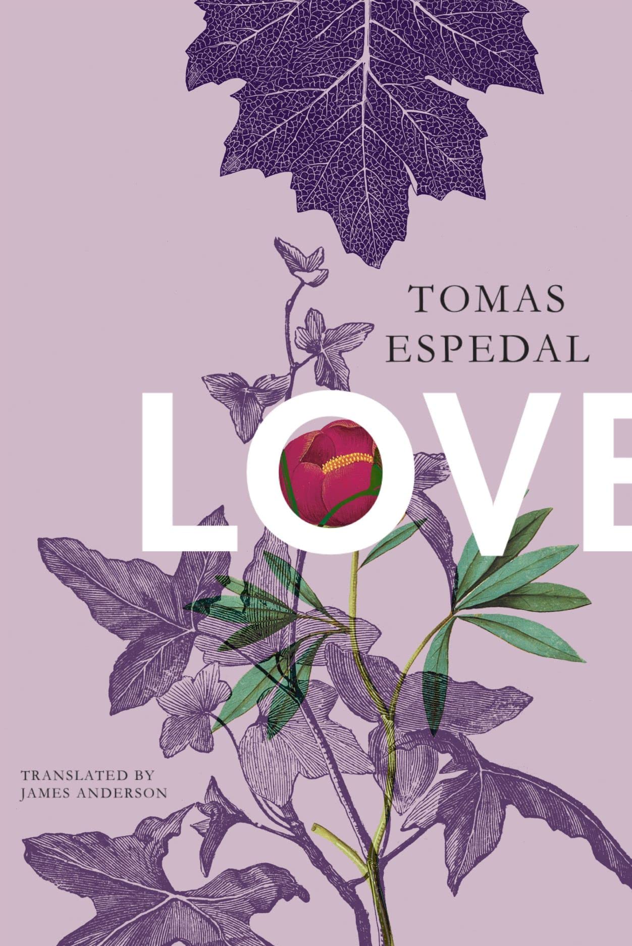 Love book cover