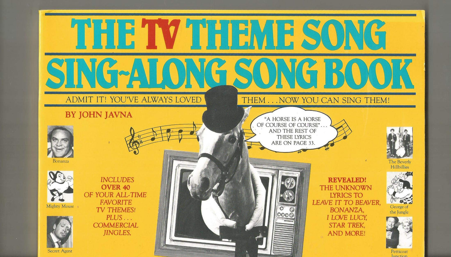 TV Theme Song Sing-Along Songbook book cover