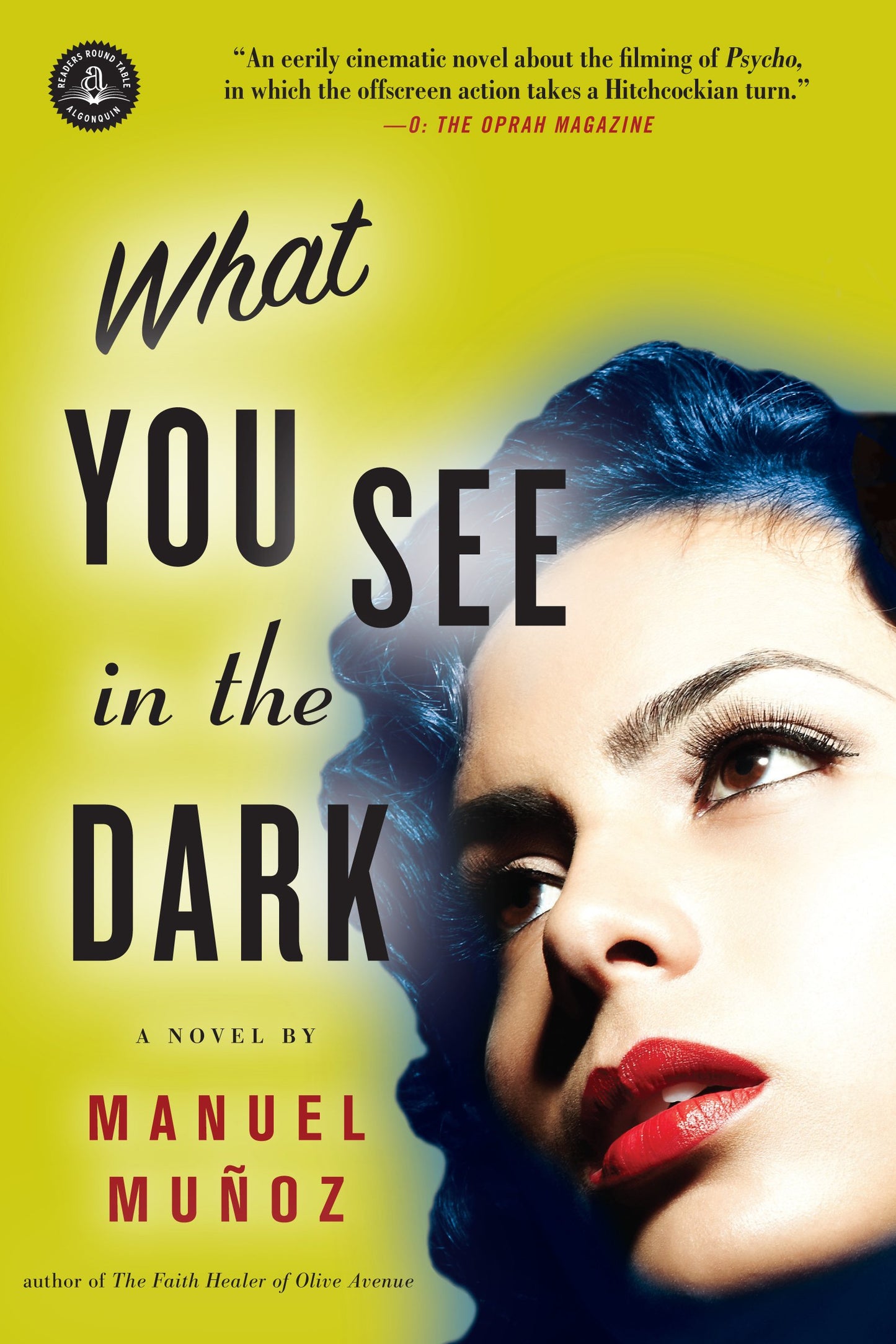 What You See in the Dark book cover