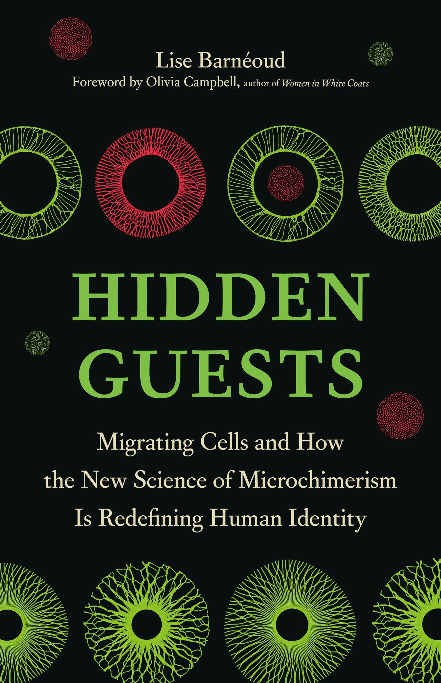 Hidden Guests book cover