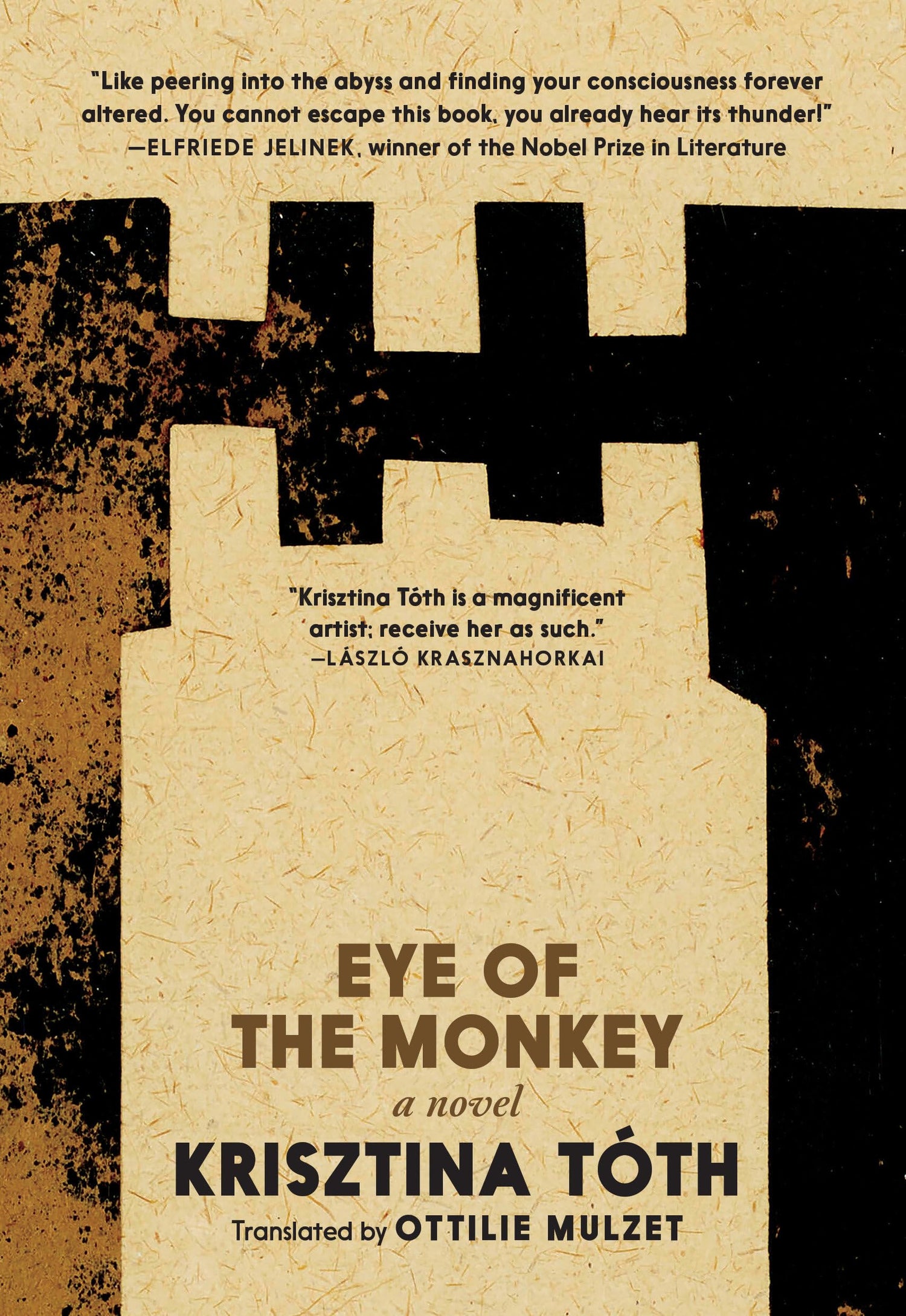 Eye of the Monkey book cover