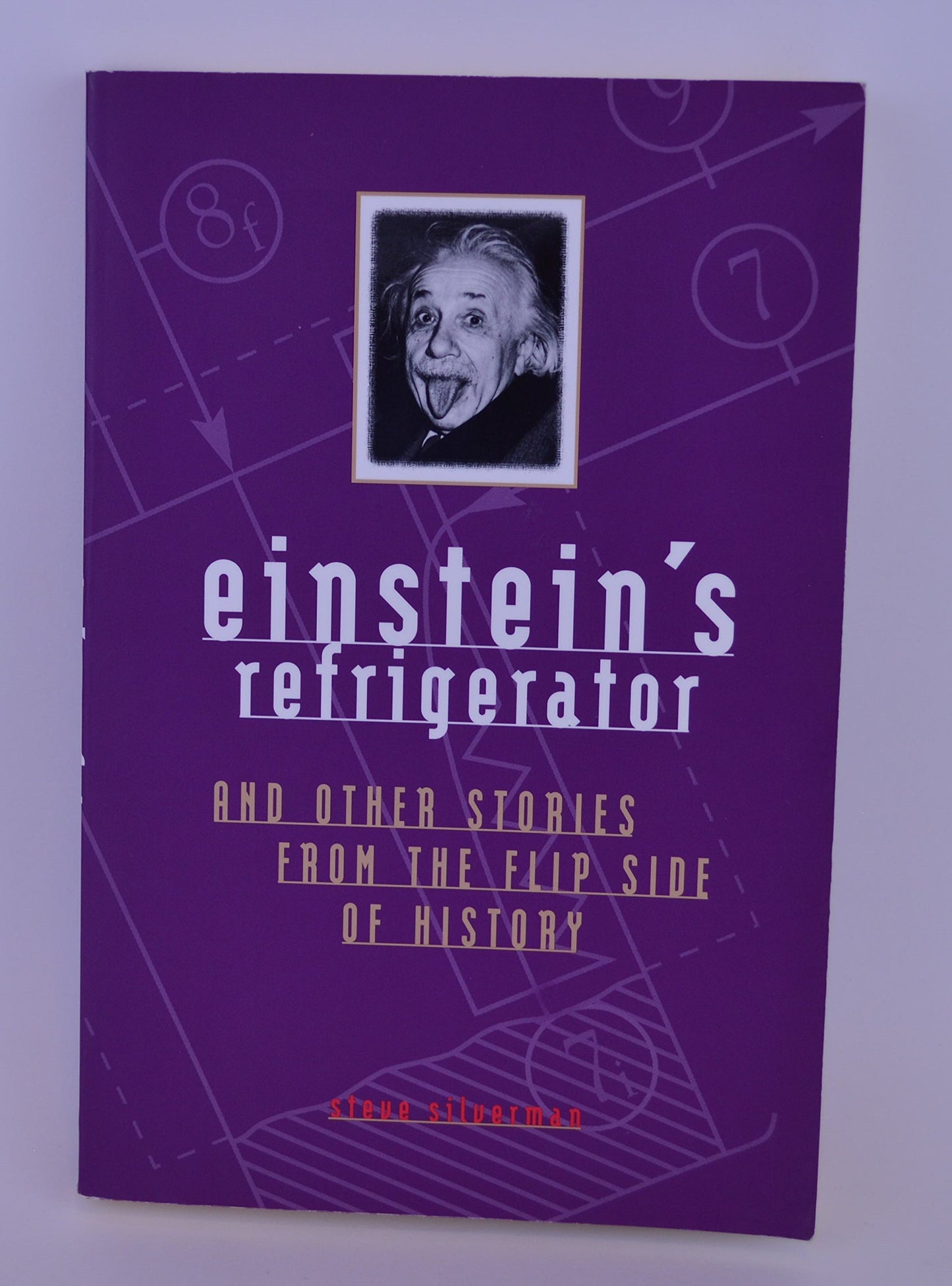 Einstein's Refrigerator Stories from Flip Side of book cover