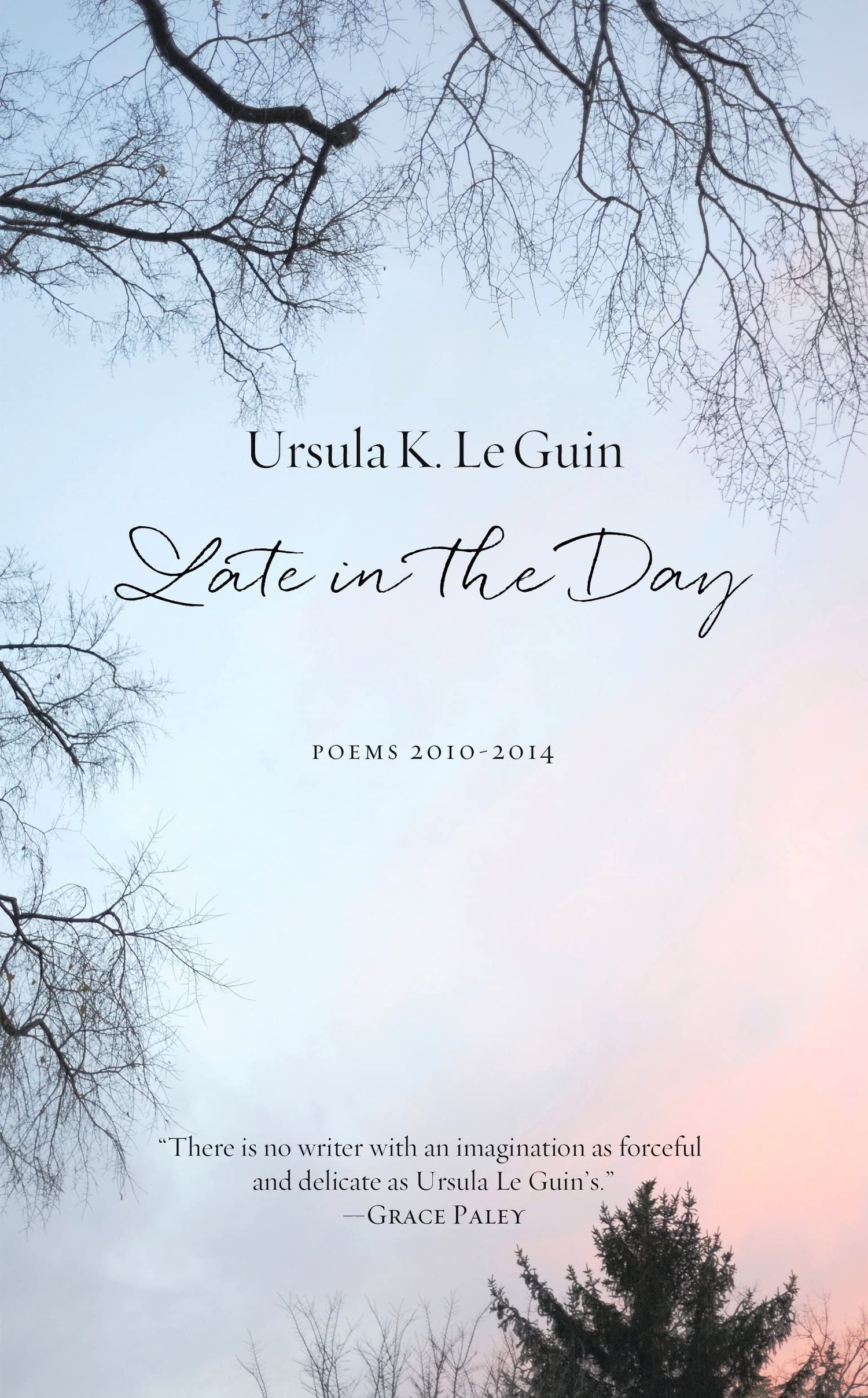 Late in the Day book cover