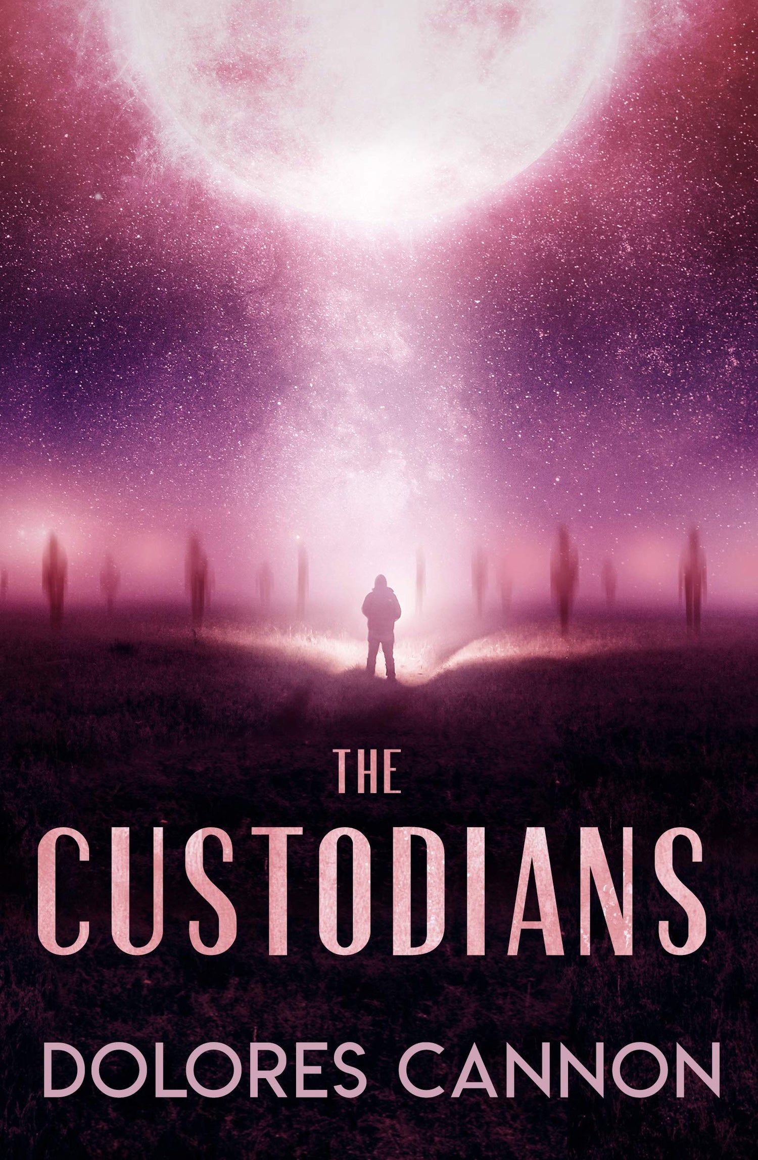 Custodians: Beyond Abduction book cover
