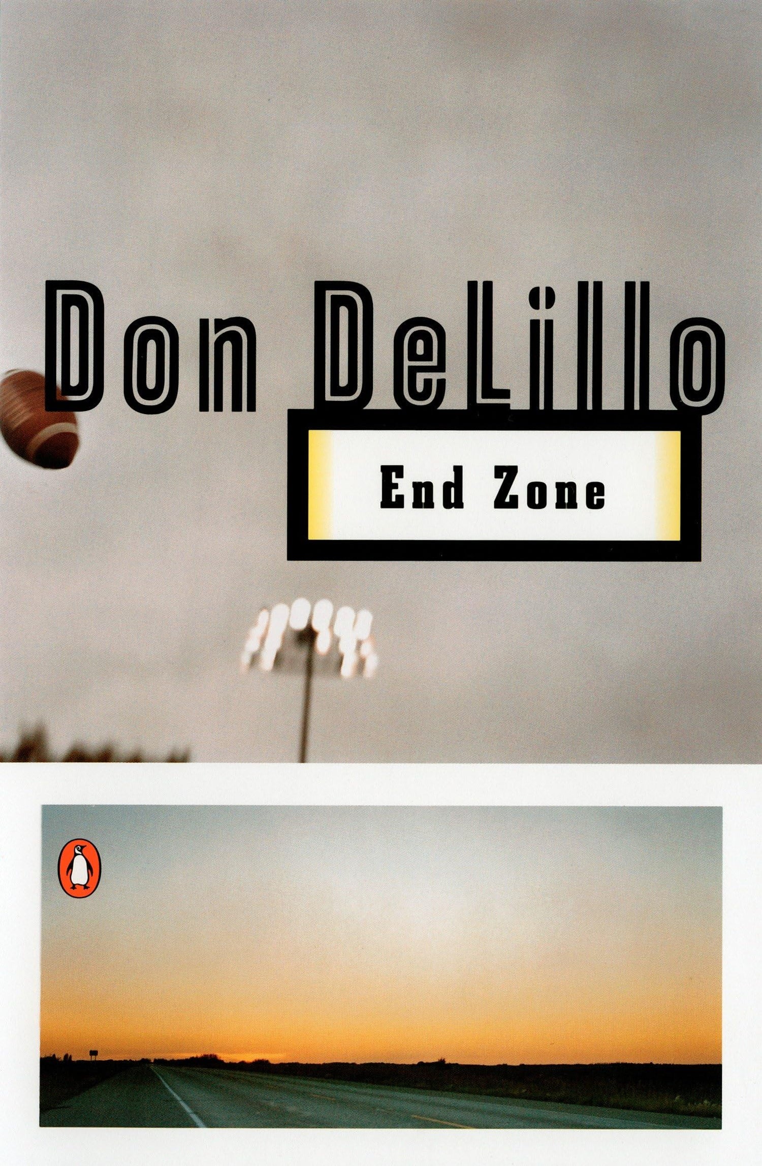End Zone book cover