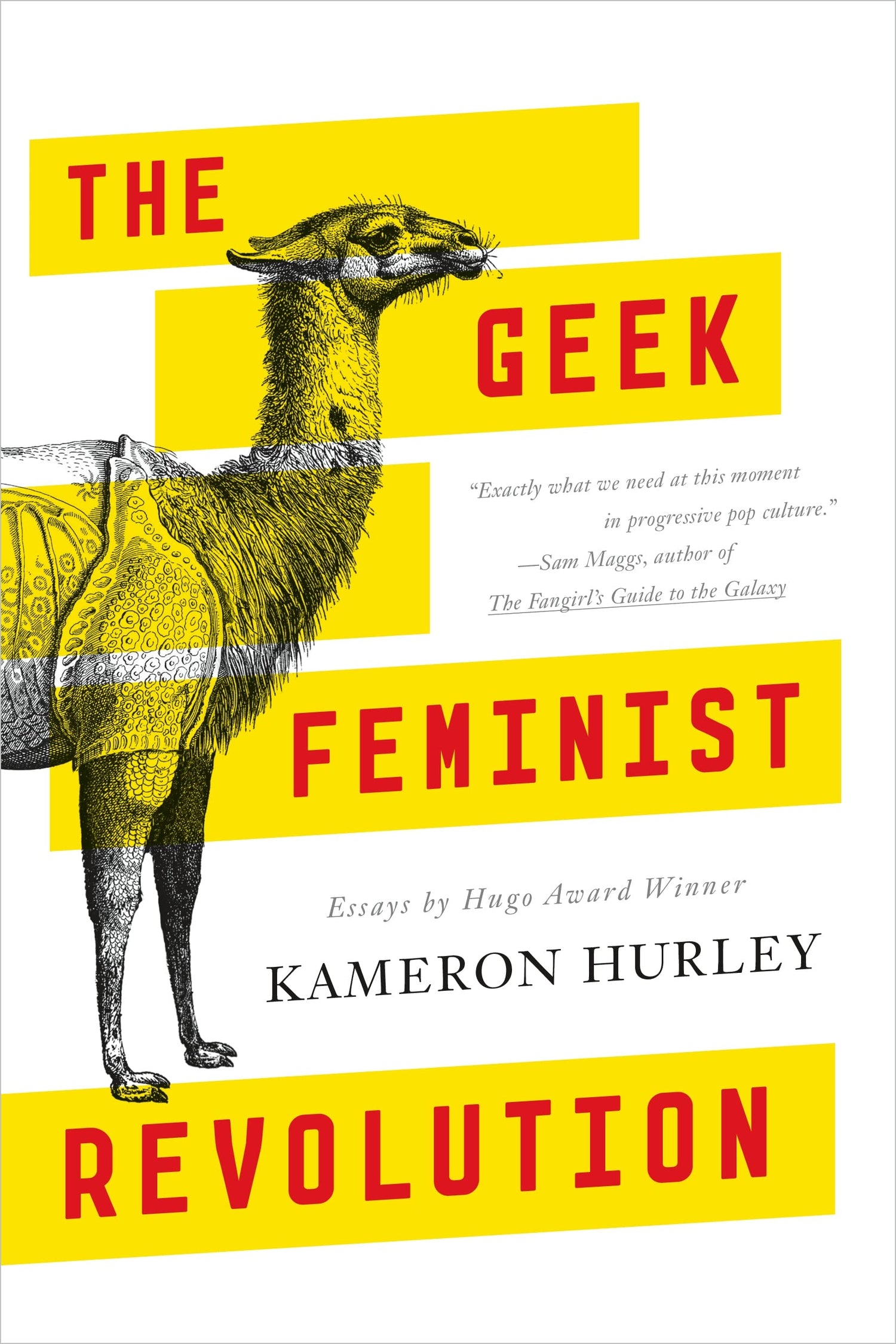 Geek Feminist Revolution: Essays book cover