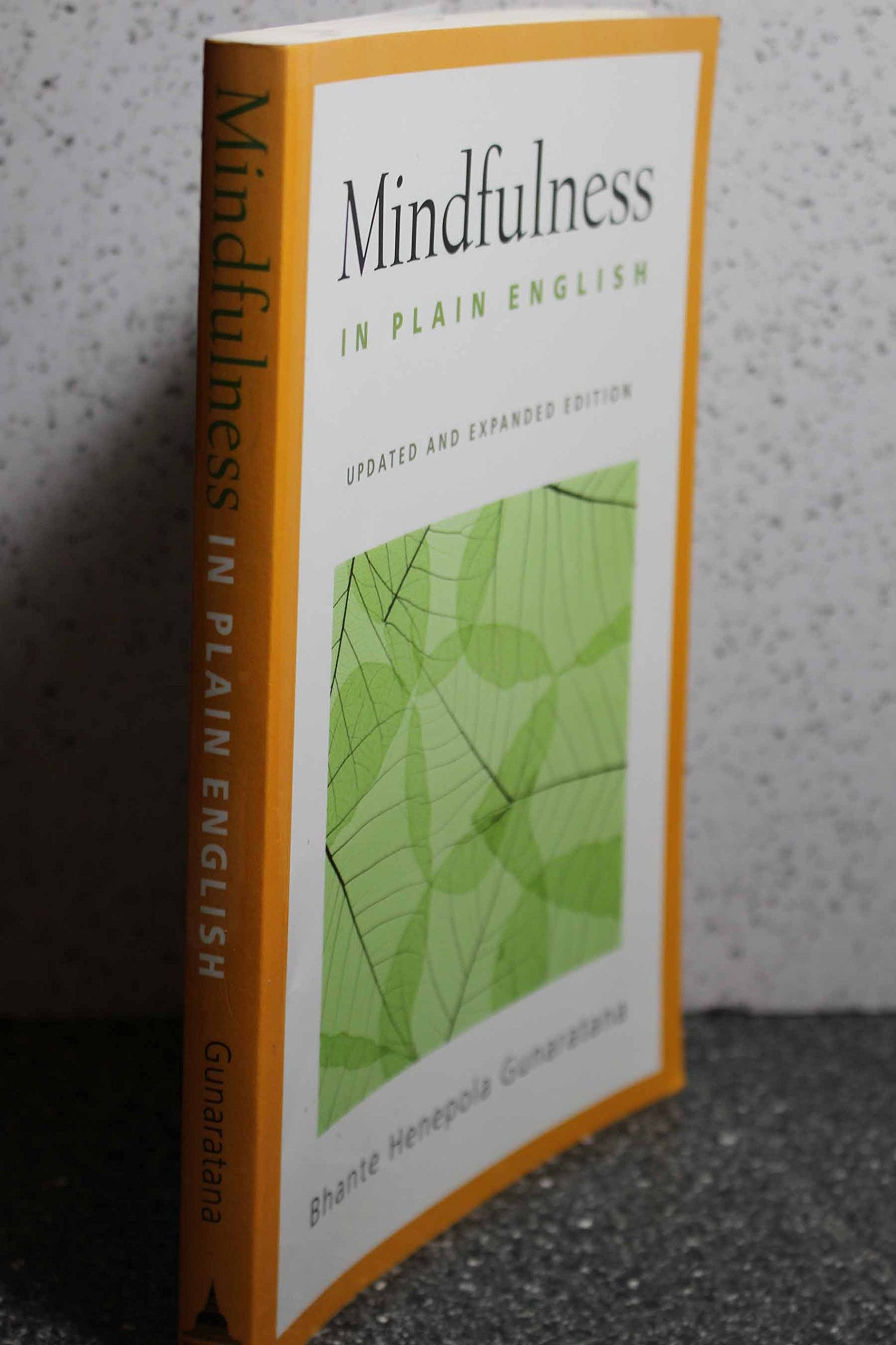 Mindfulness in Plain English (Updated & Expanded) book cover