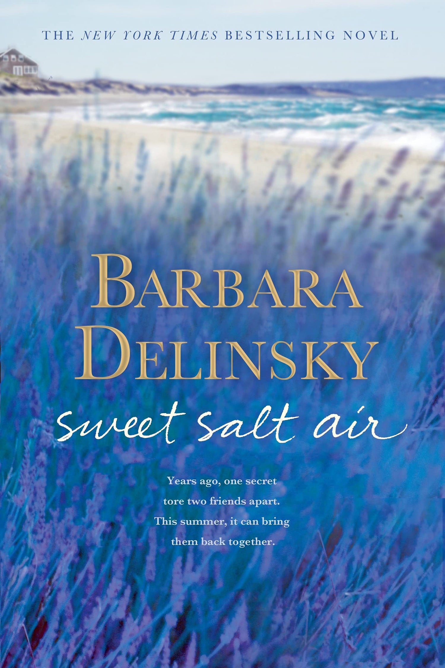Sweet Salt Air book cover