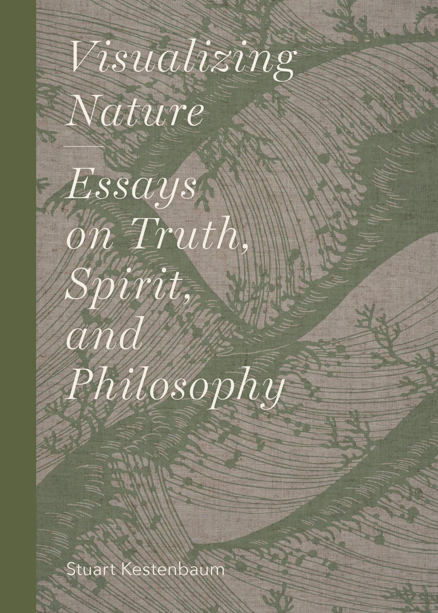 Visualizing Nature: Essays on Truth, Spririt, and Philosophy book cover