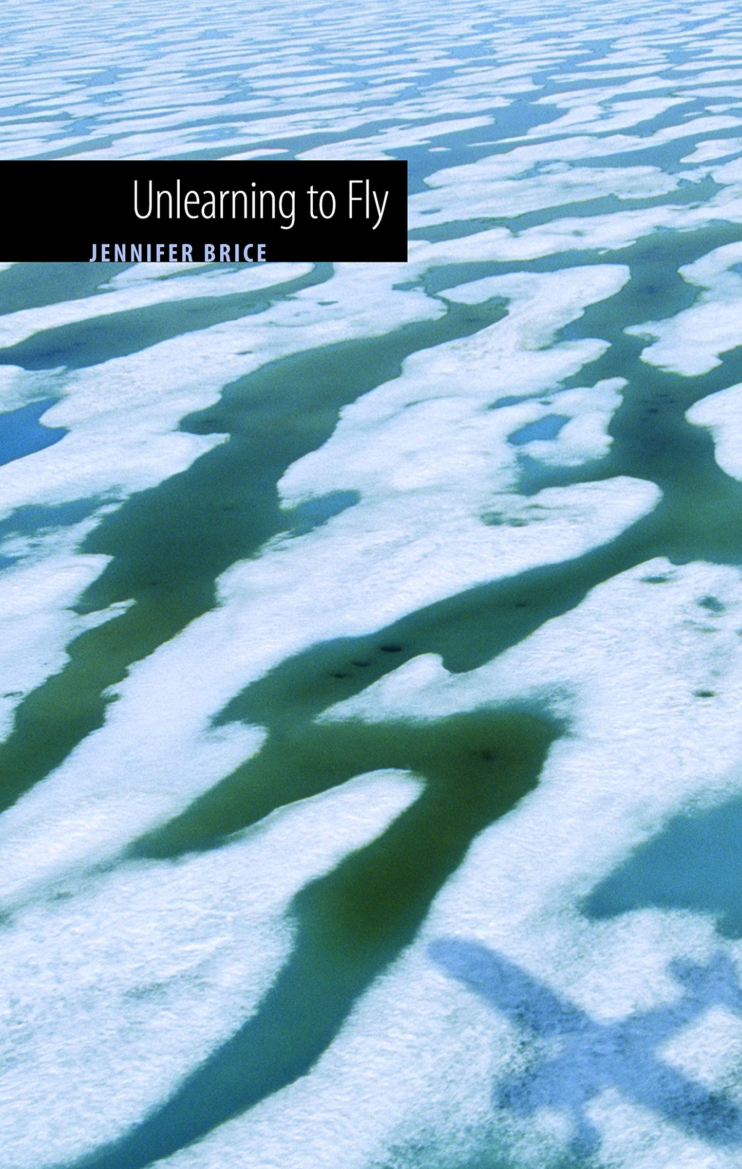 Unlearning to Fly book cover