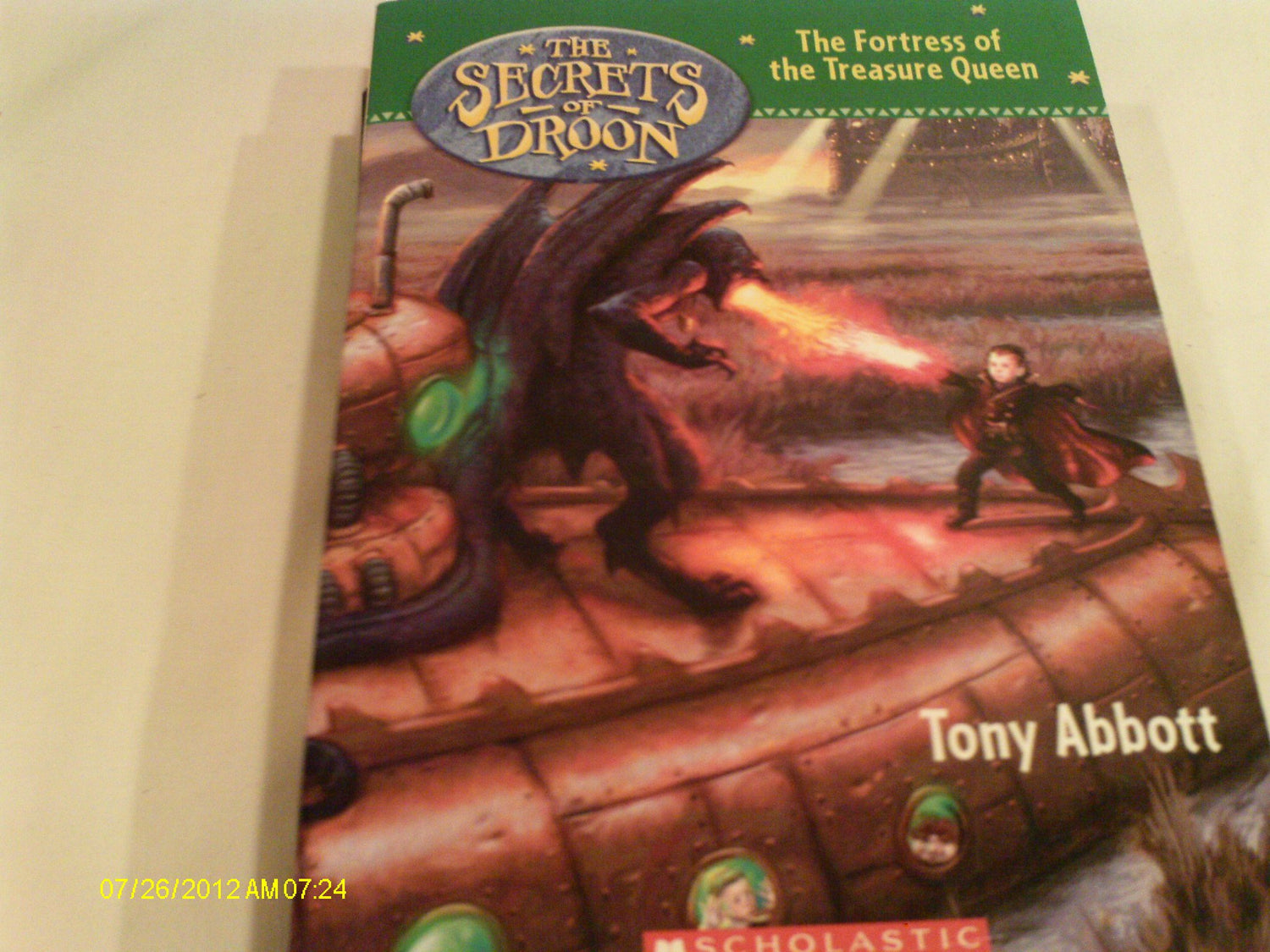 Fortress of the Treasure Queen book cover