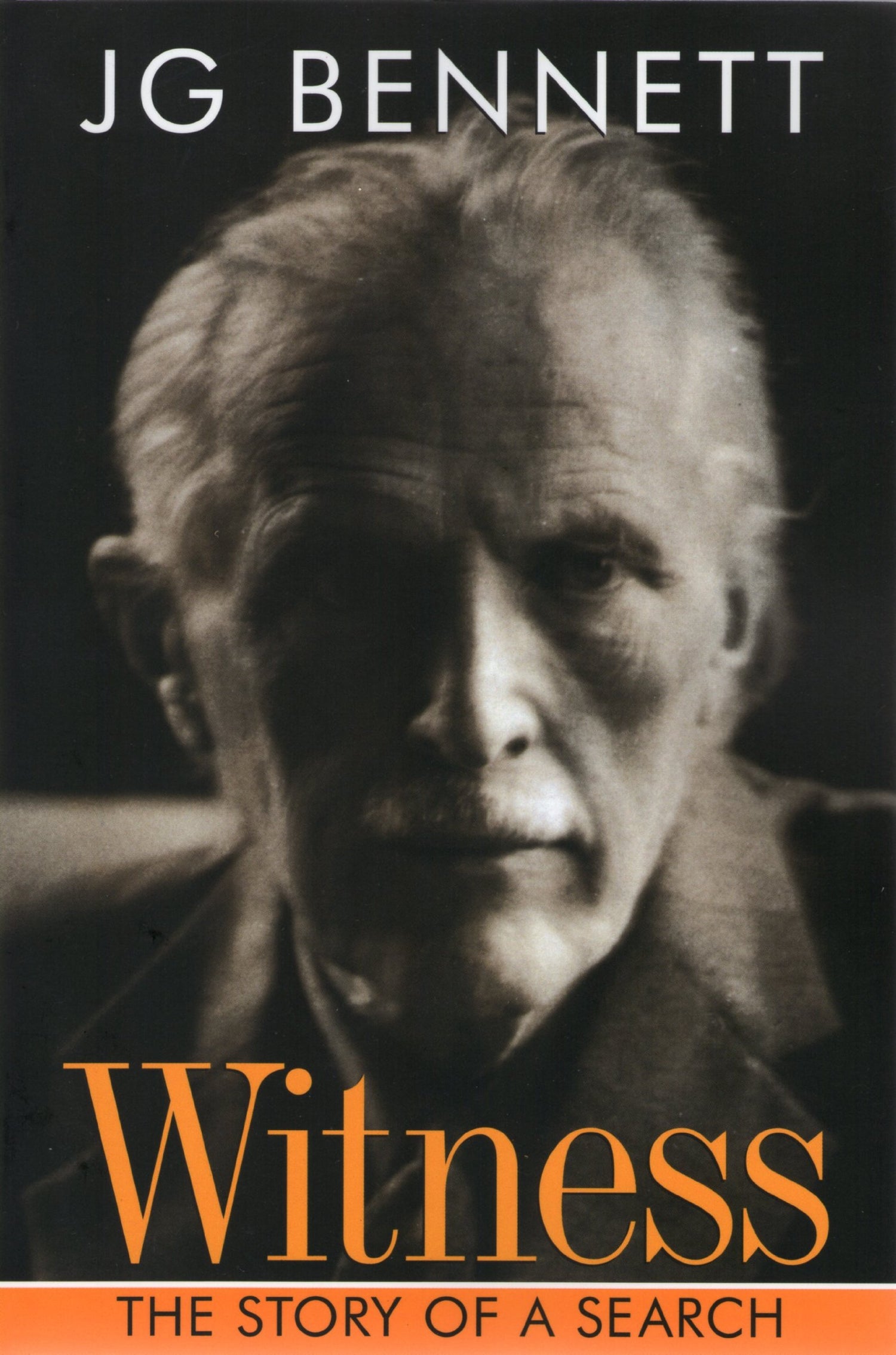 Witness: The Story of a Search (BENNETT BOOKS) book cover