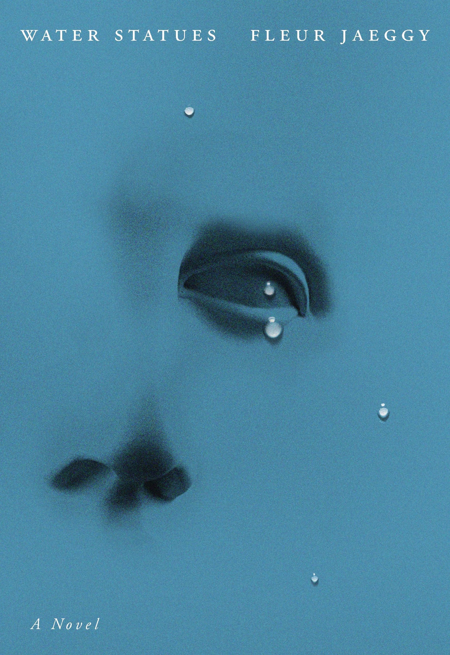 The Water Statues book cover