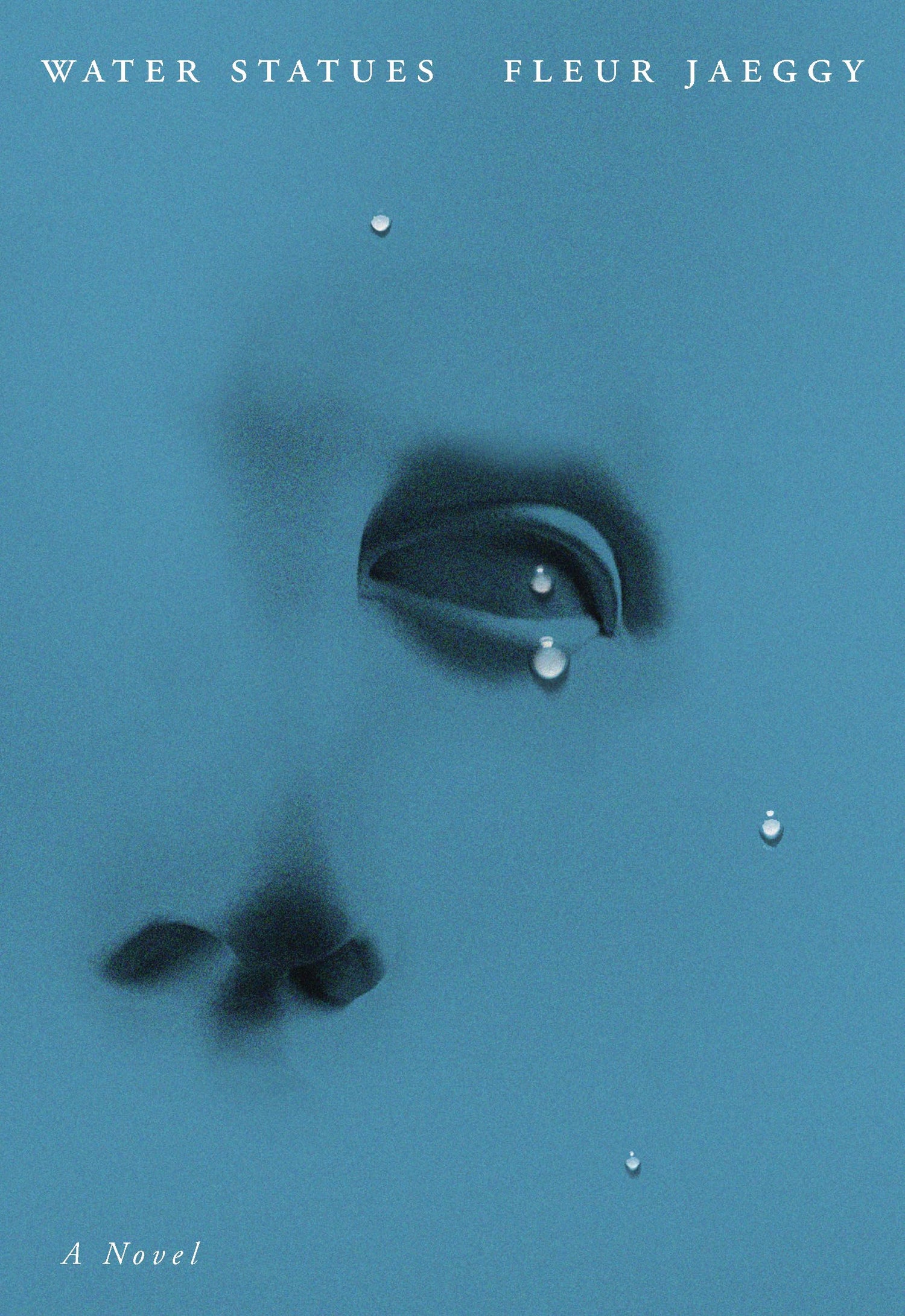The Water Statues book cover