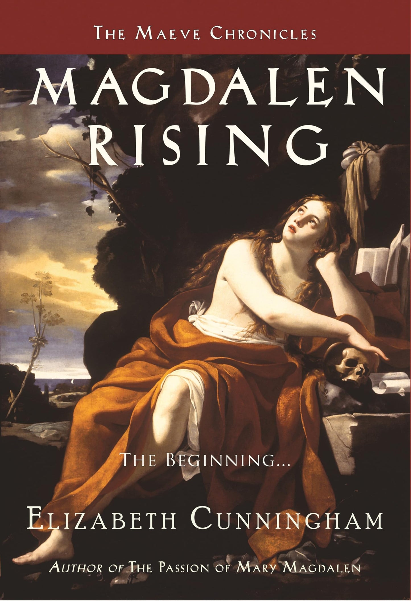 Magdalen Rising: The Beginning book cover