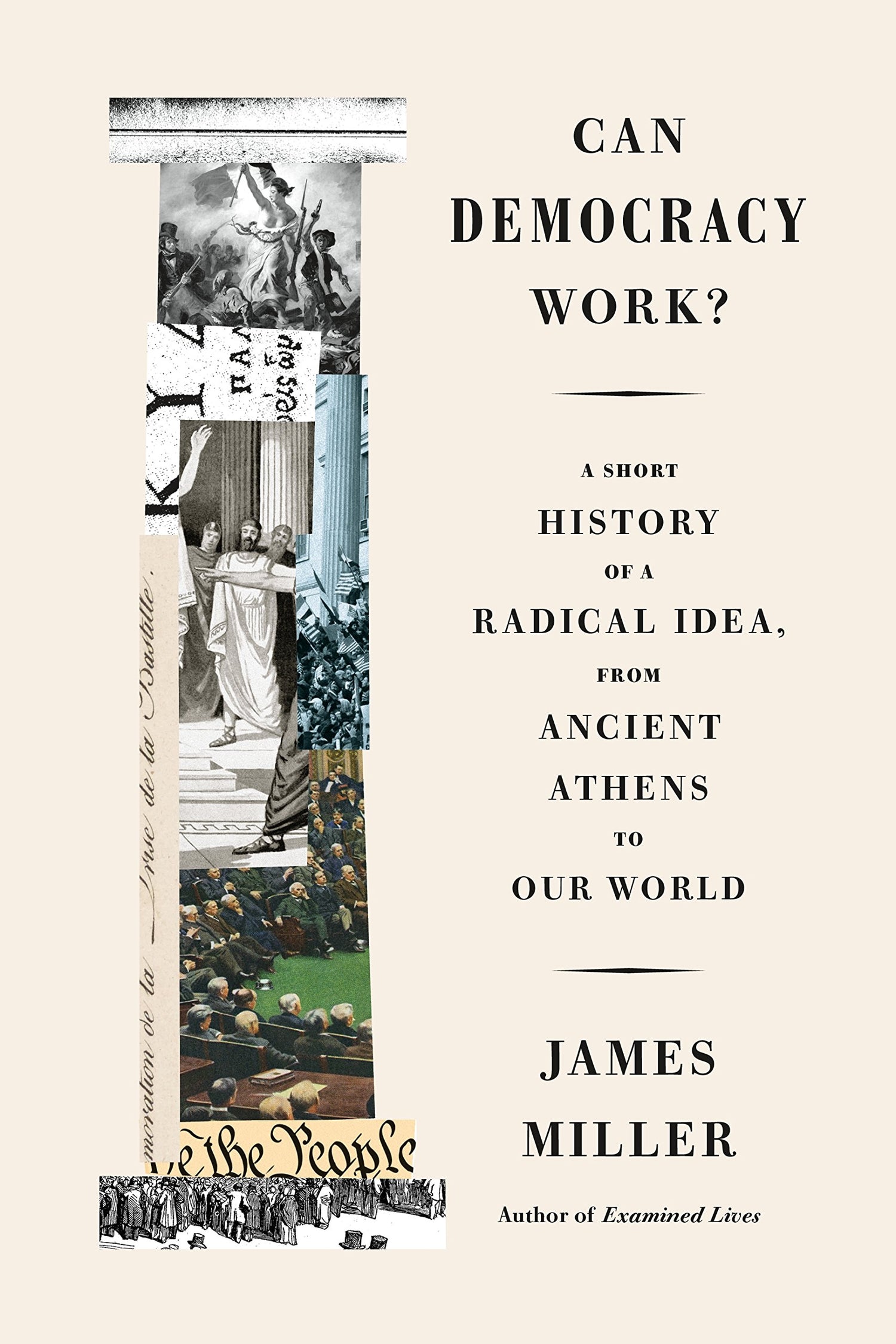 Can Democracy Work?: A Short History of a Radical Idea, from Ancient Athens to Our World book cover