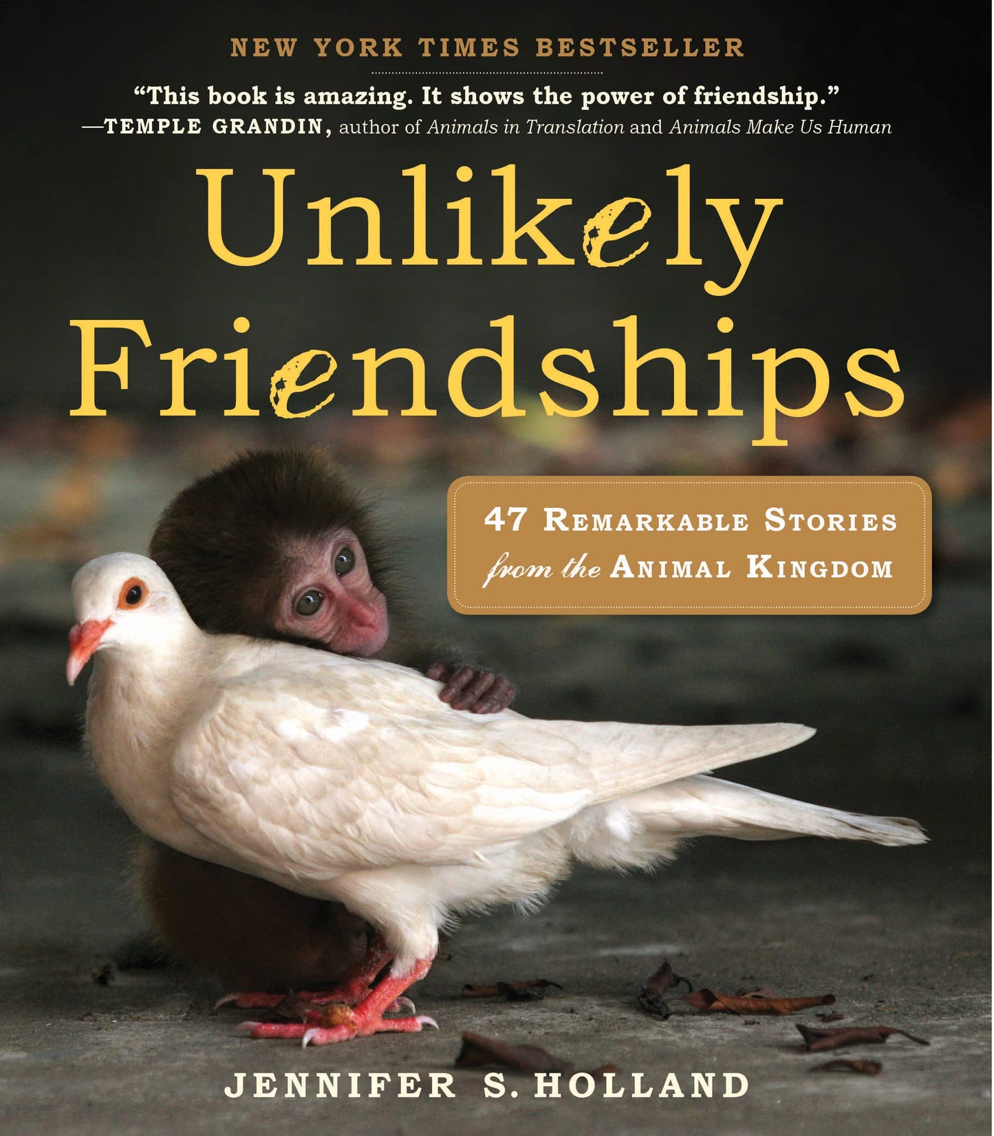 Unlikely Friendships: 47 Remarkable Stories from the Animal Kingdom book cover