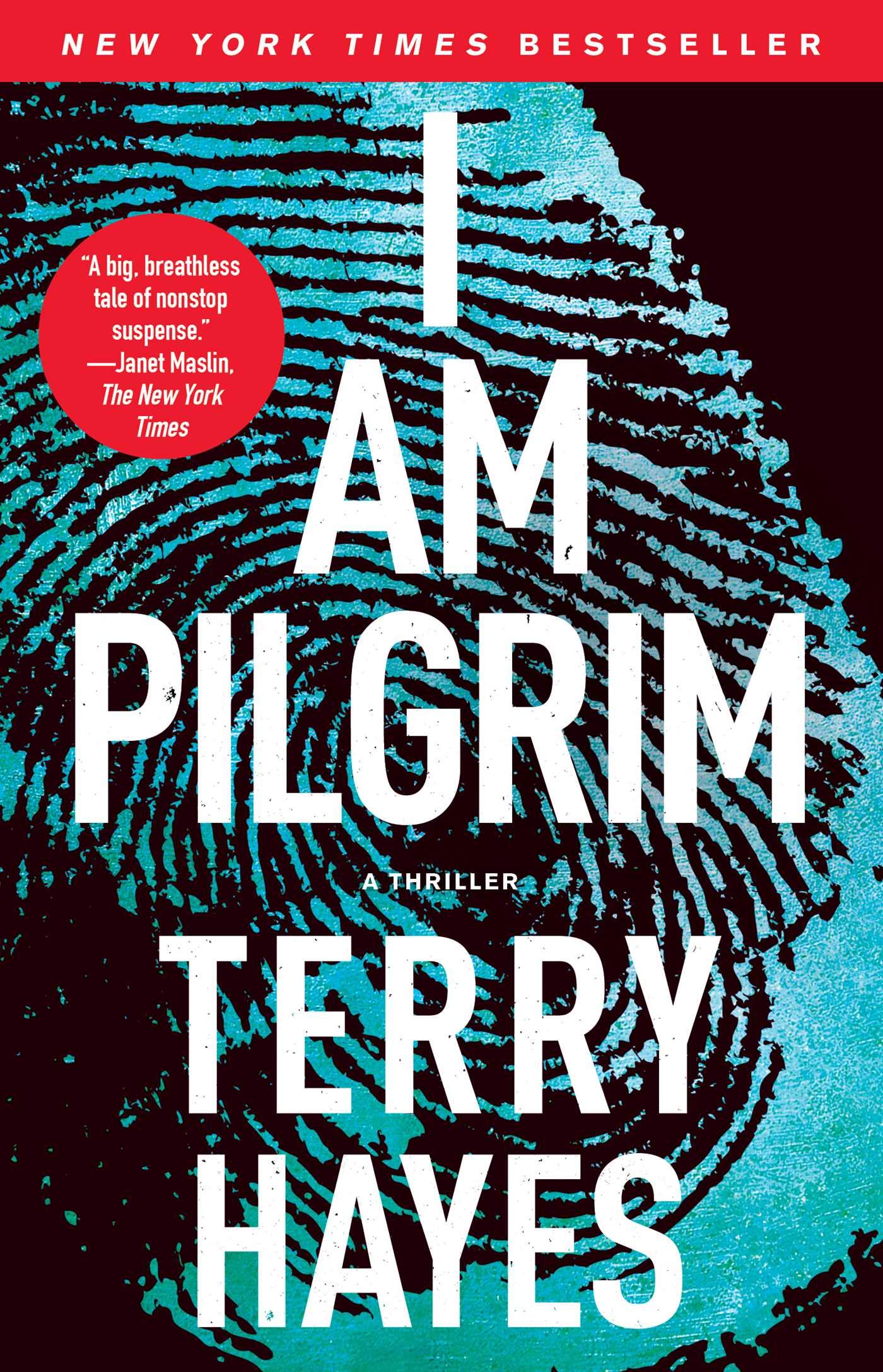 I Am Pilgrim: A Thriller book cover