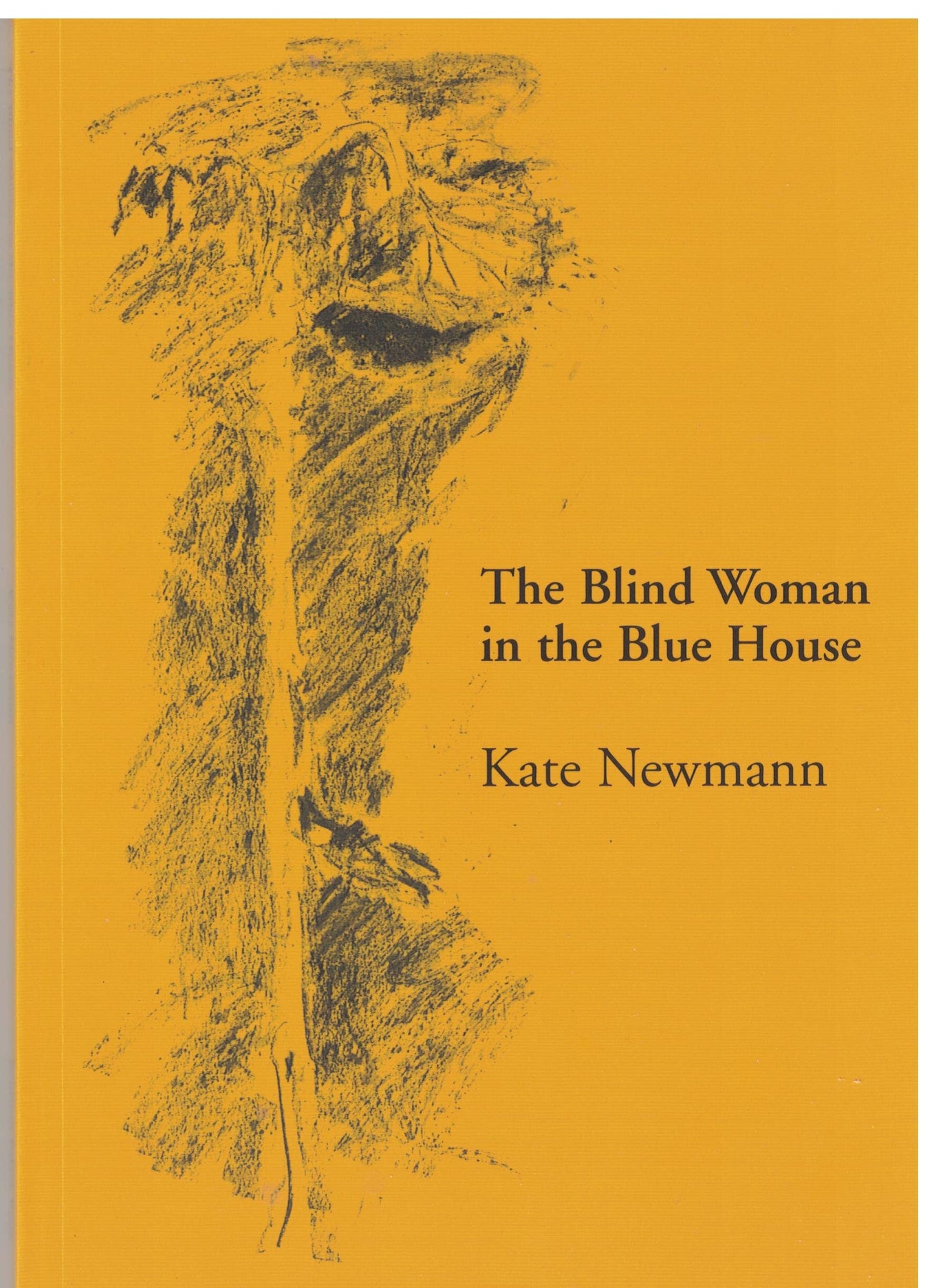 Blind Woman in the Blue House book cover
