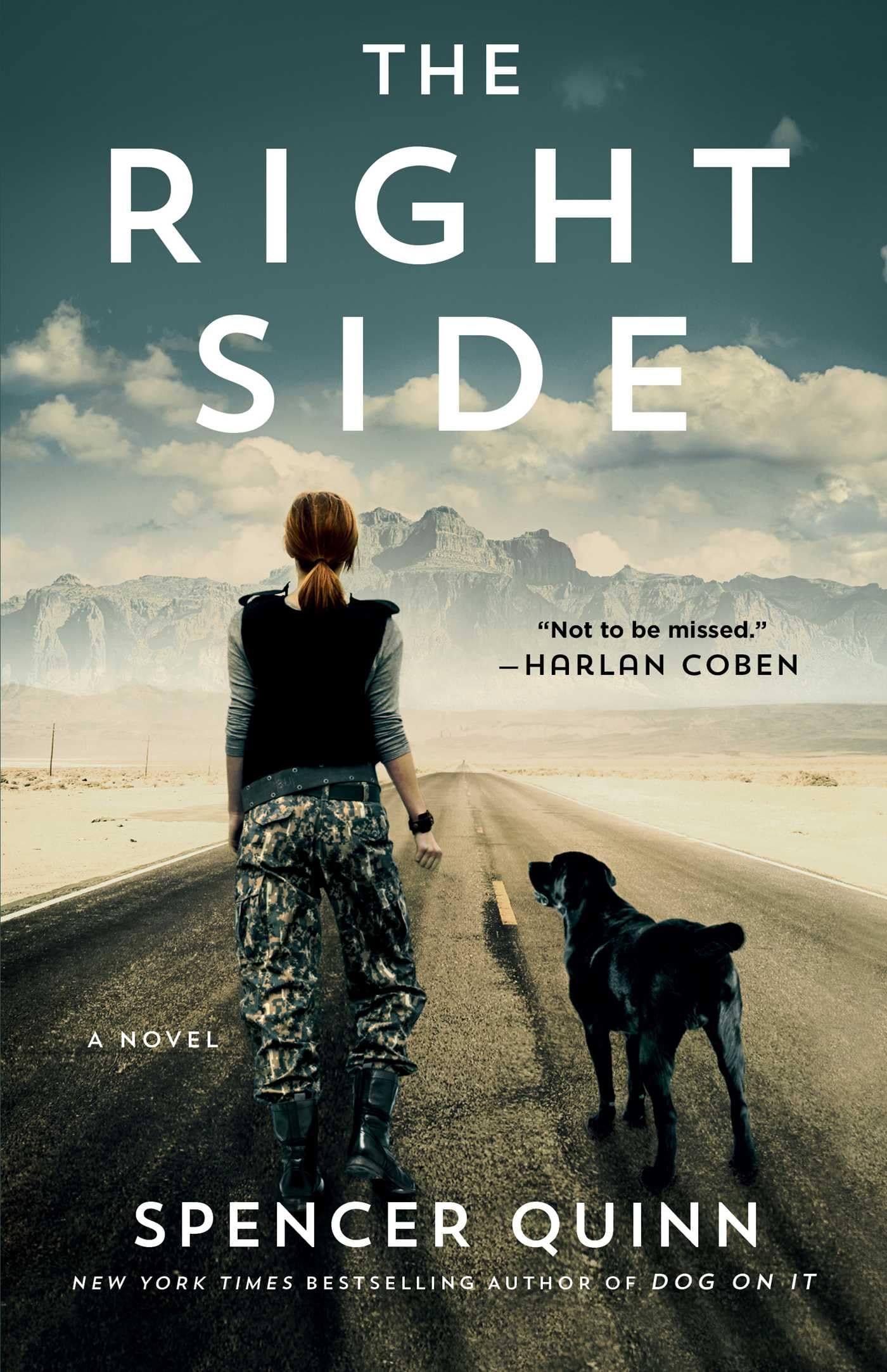 The Right Side: A Novel book cover